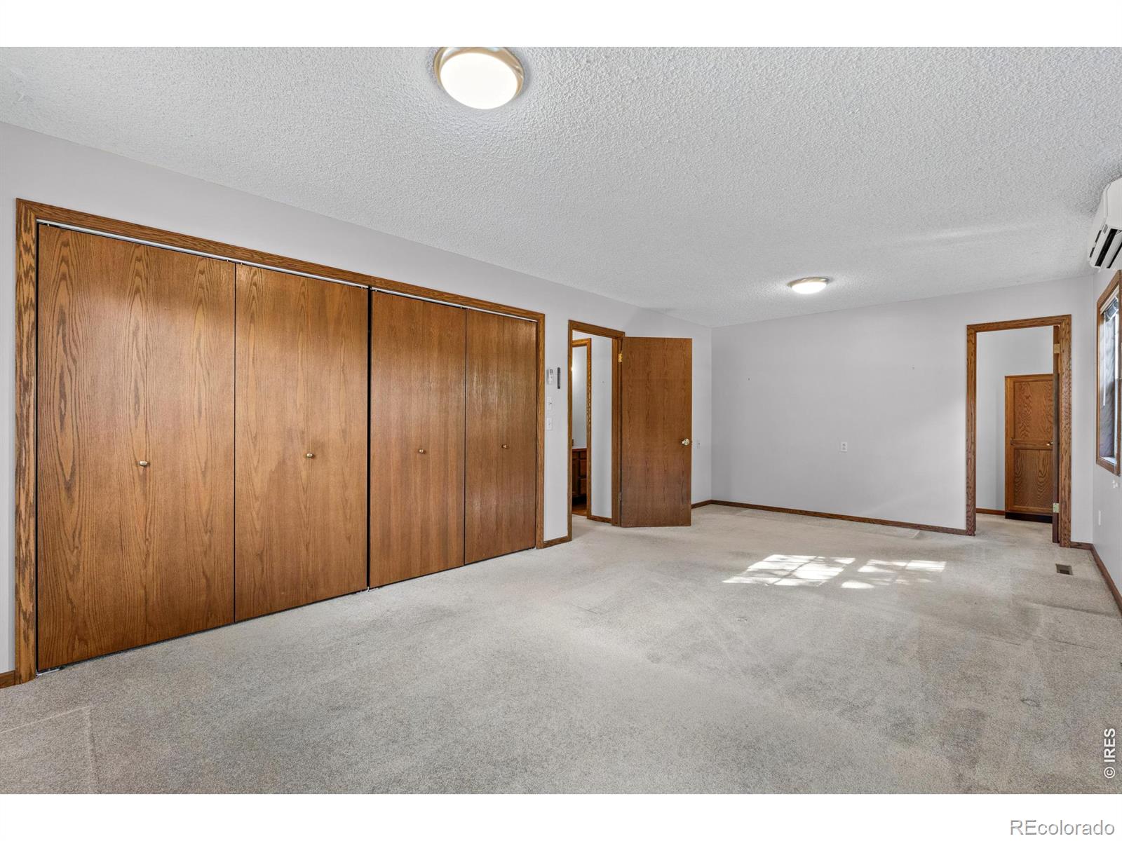 MLS Image #13 for 513  mail creek court,fort collins, Colorado