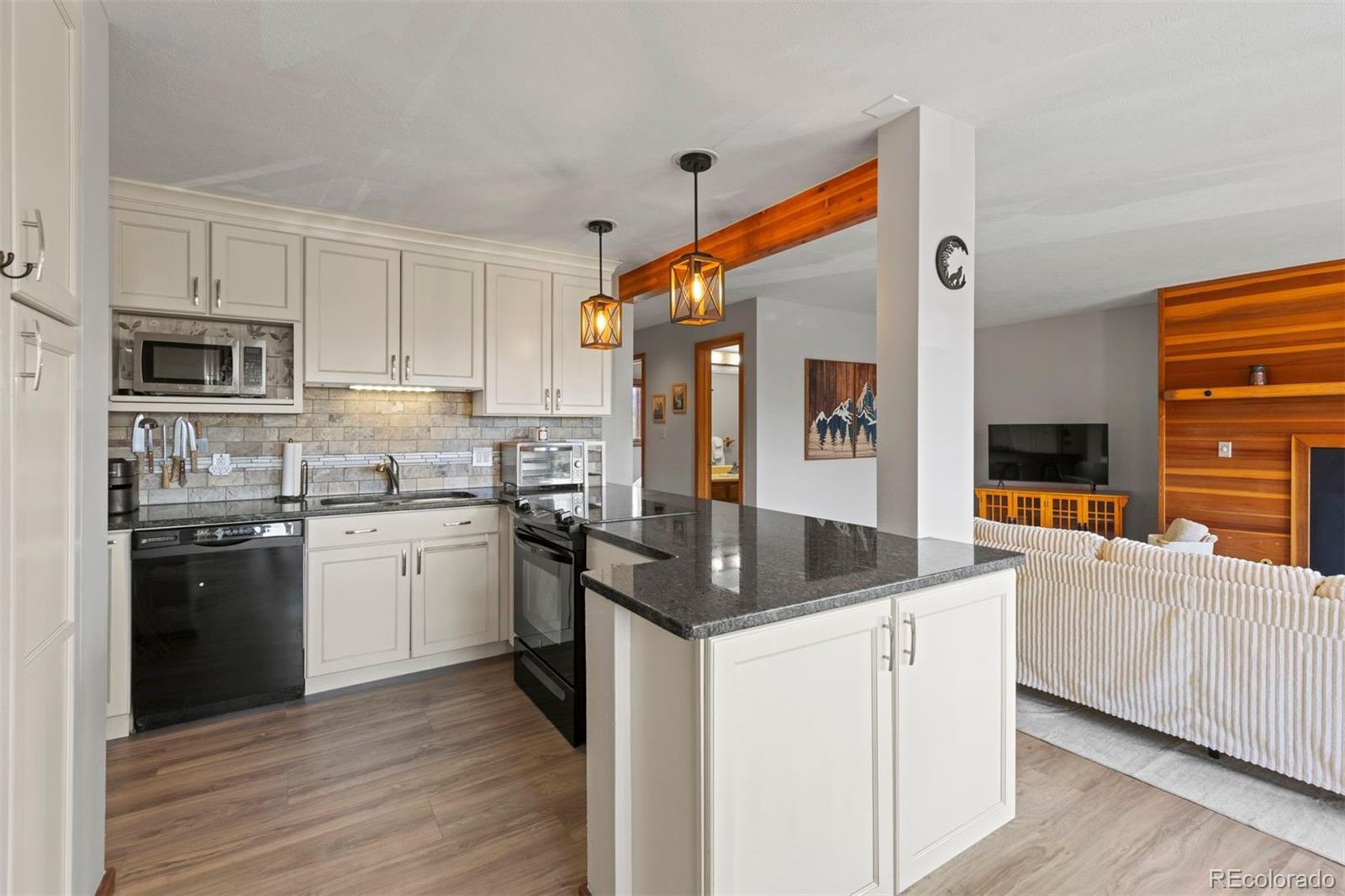 MLS Image #17 for 91300  ryan gulch road,silverthorne, Colorado