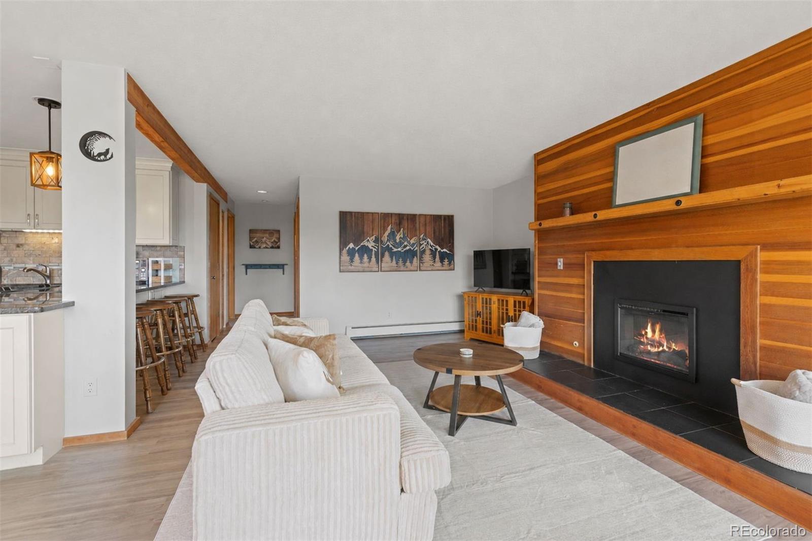 MLS Image #2 for 91300  ryan gulch road,silverthorne, Colorado