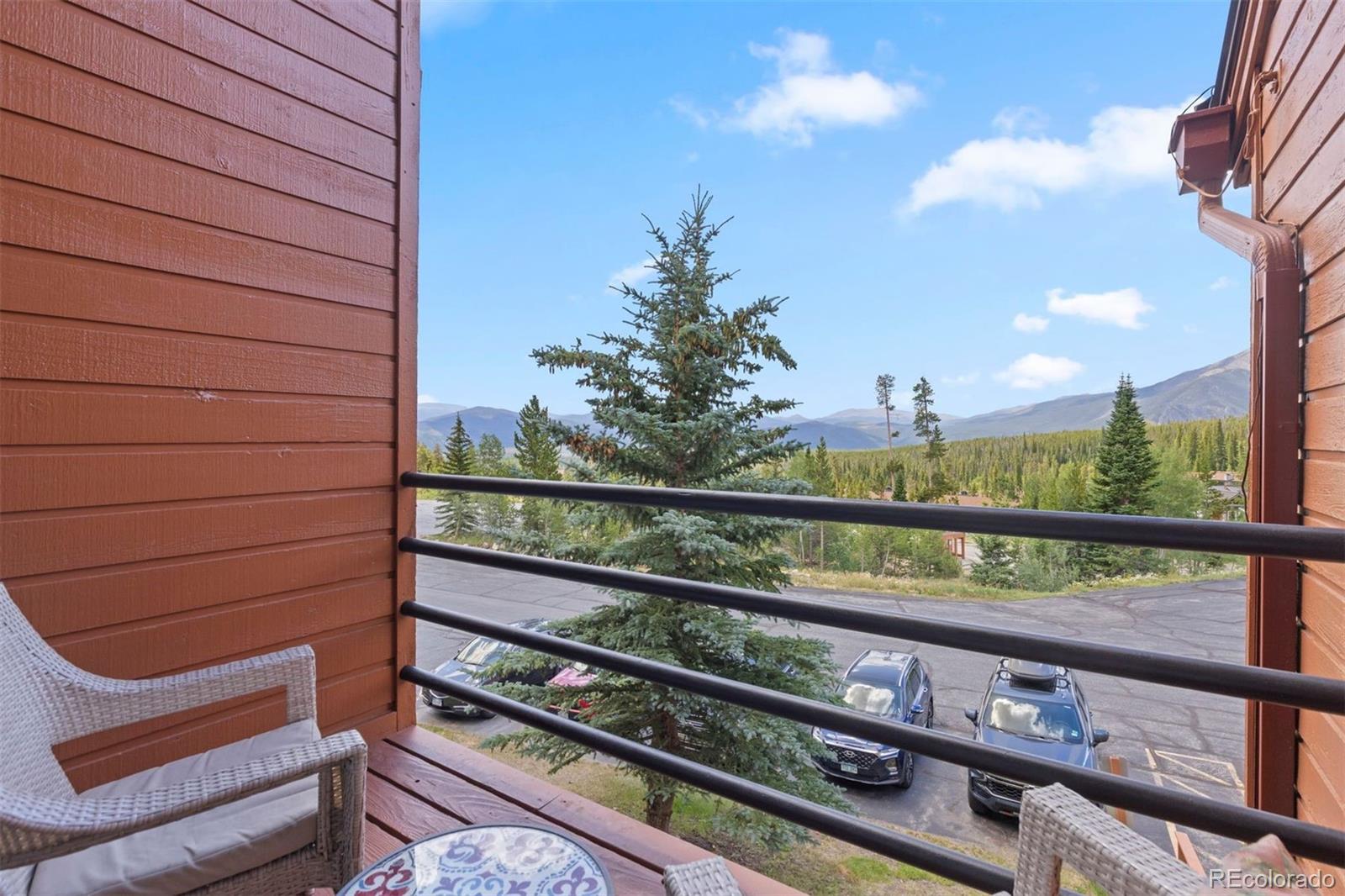MLS Image #21 for 91300  ryan gulch road,silverthorne, Colorado