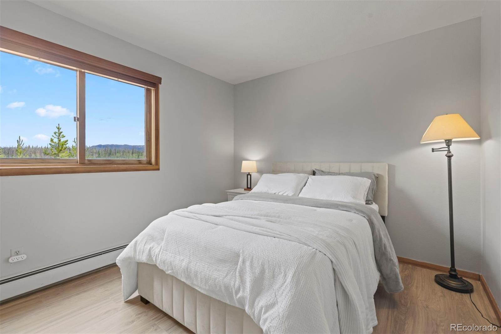 MLS Image #24 for 91300  ryan gulch road,silverthorne, Colorado