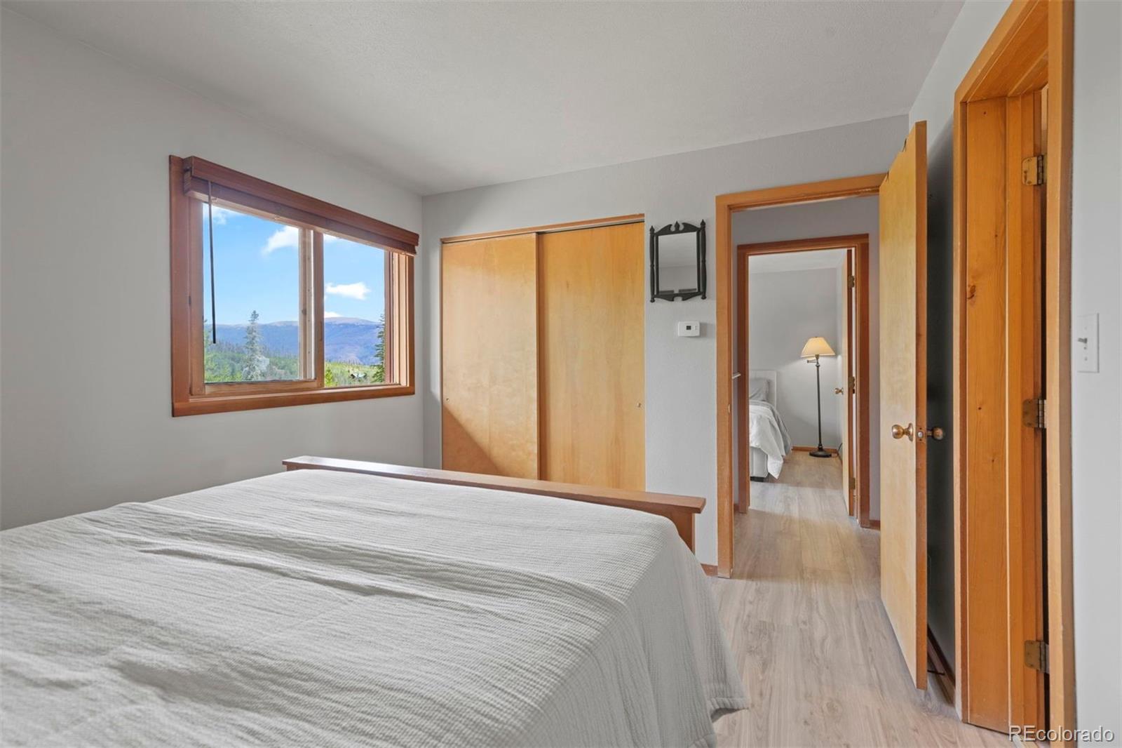 MLS Image #29 for 91300  ryan gulch road,silverthorne, Colorado