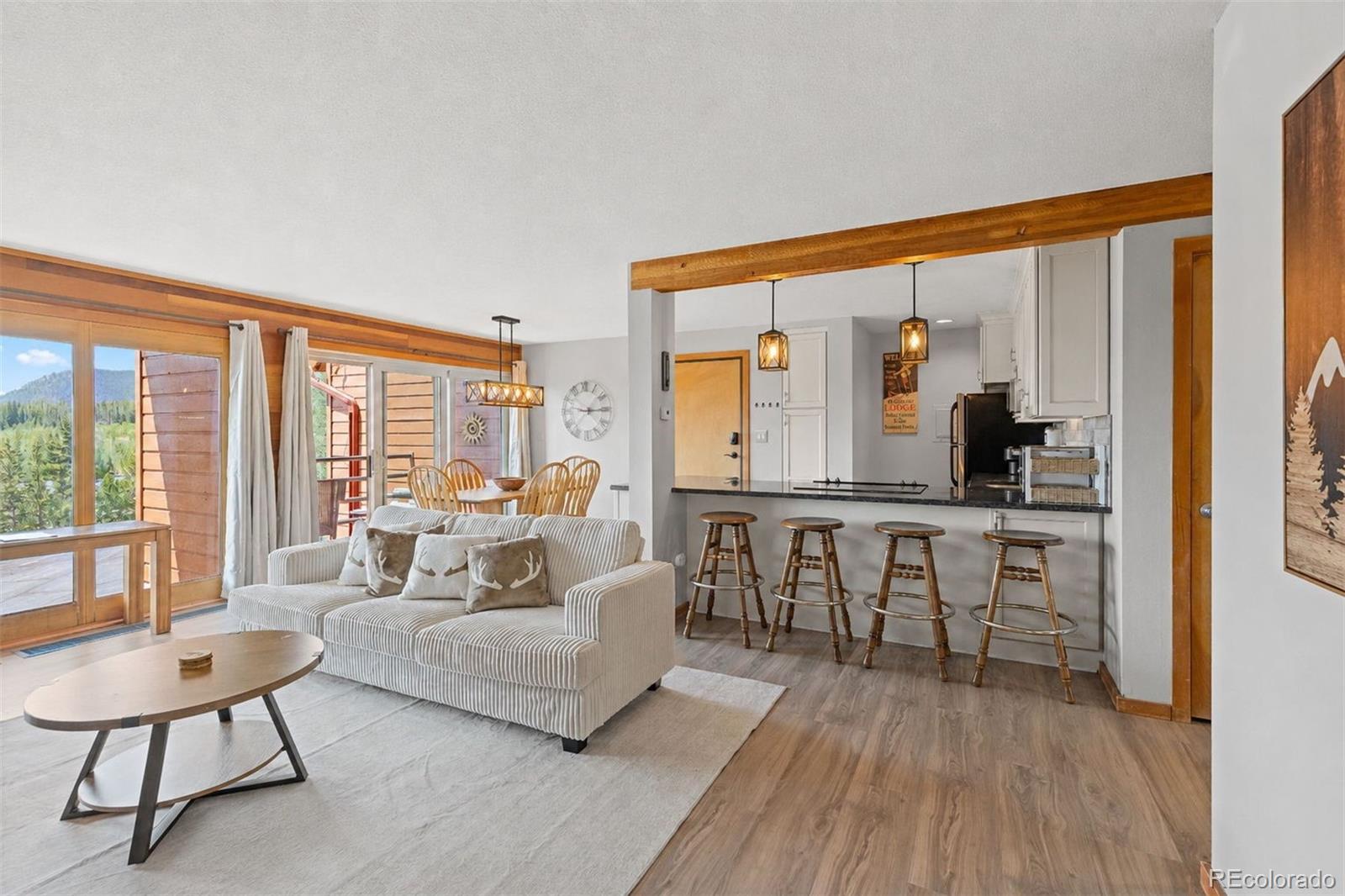 MLS Image #3 for 91300  ryan gulch road,silverthorne, Colorado