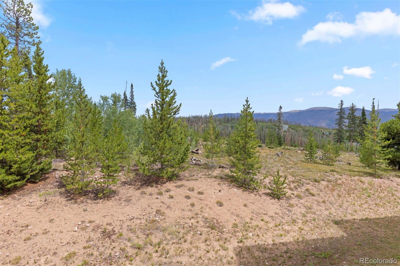 MLS Image #30 for 91300  ryan gulch road,silverthorne, Colorado