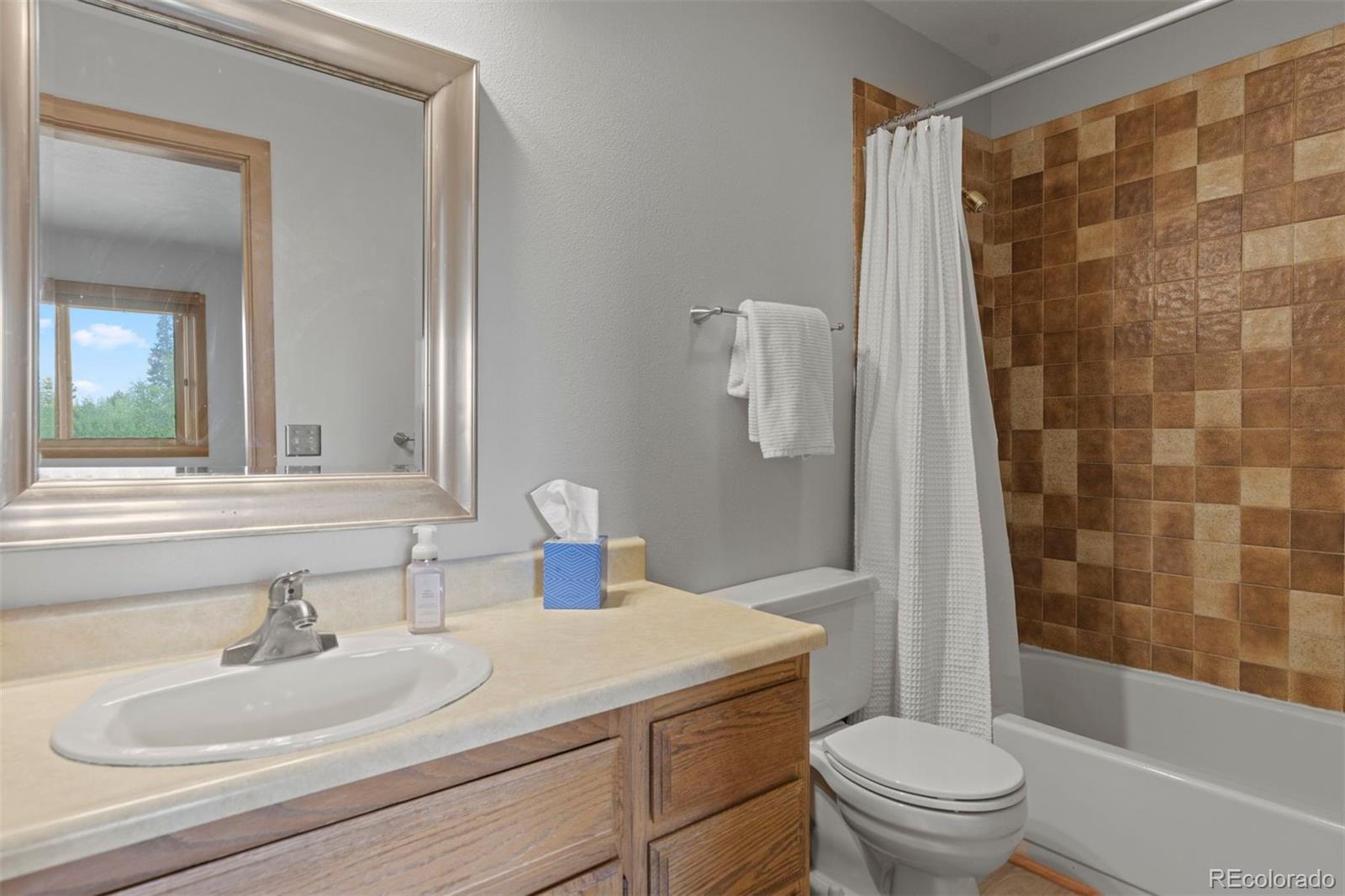 MLS Image #31 for 91300  ryan gulch road,silverthorne, Colorado