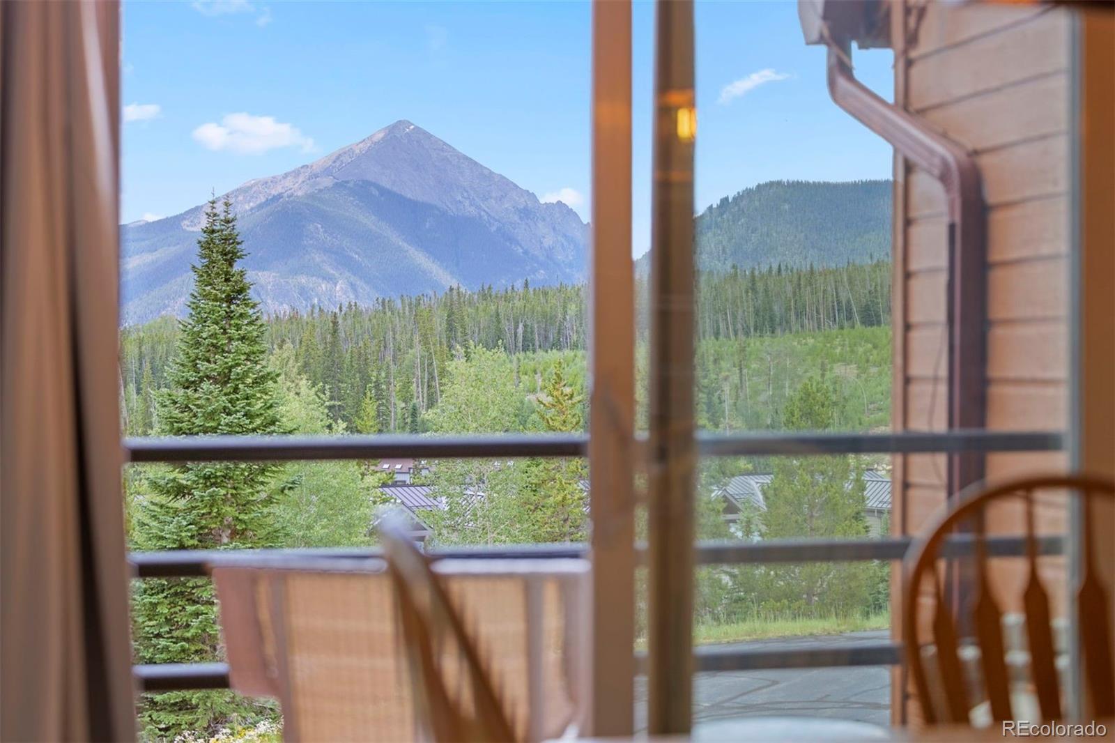 MLS Image #33 for 91300  ryan gulch road,silverthorne, Colorado