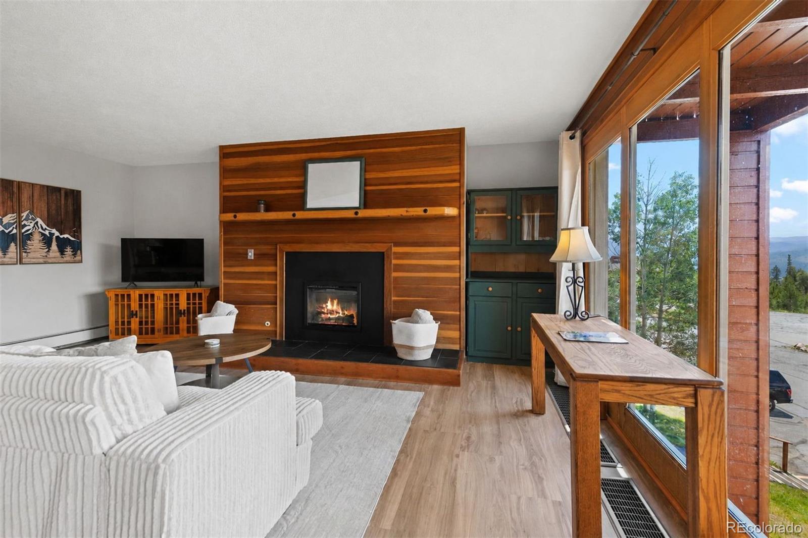 MLS Image #4 for 91300  ryan gulch road,silverthorne, Colorado