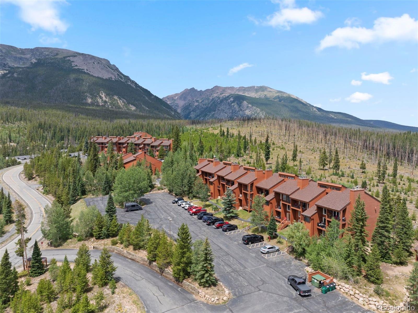 MLS Image #7 for 91300  ryan gulch road,silverthorne, Colorado