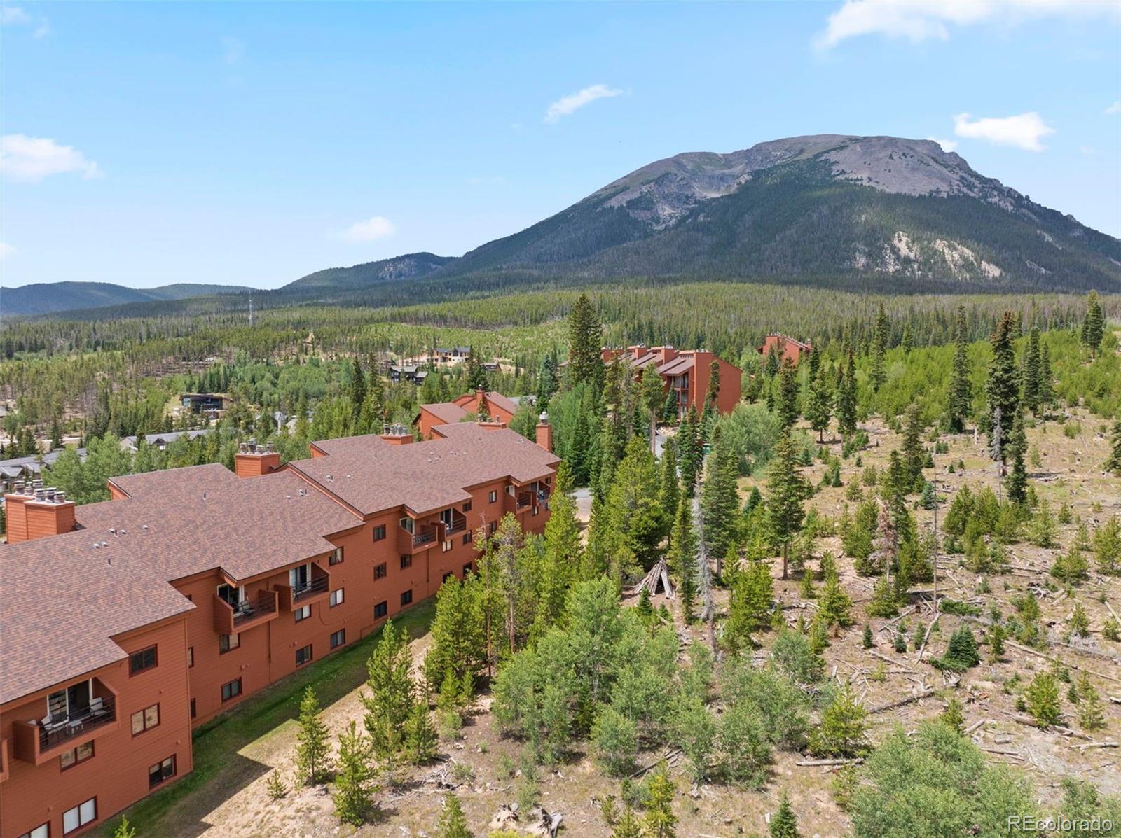 MLS Image #8 for 91300  ryan gulch road,silverthorne, Colorado