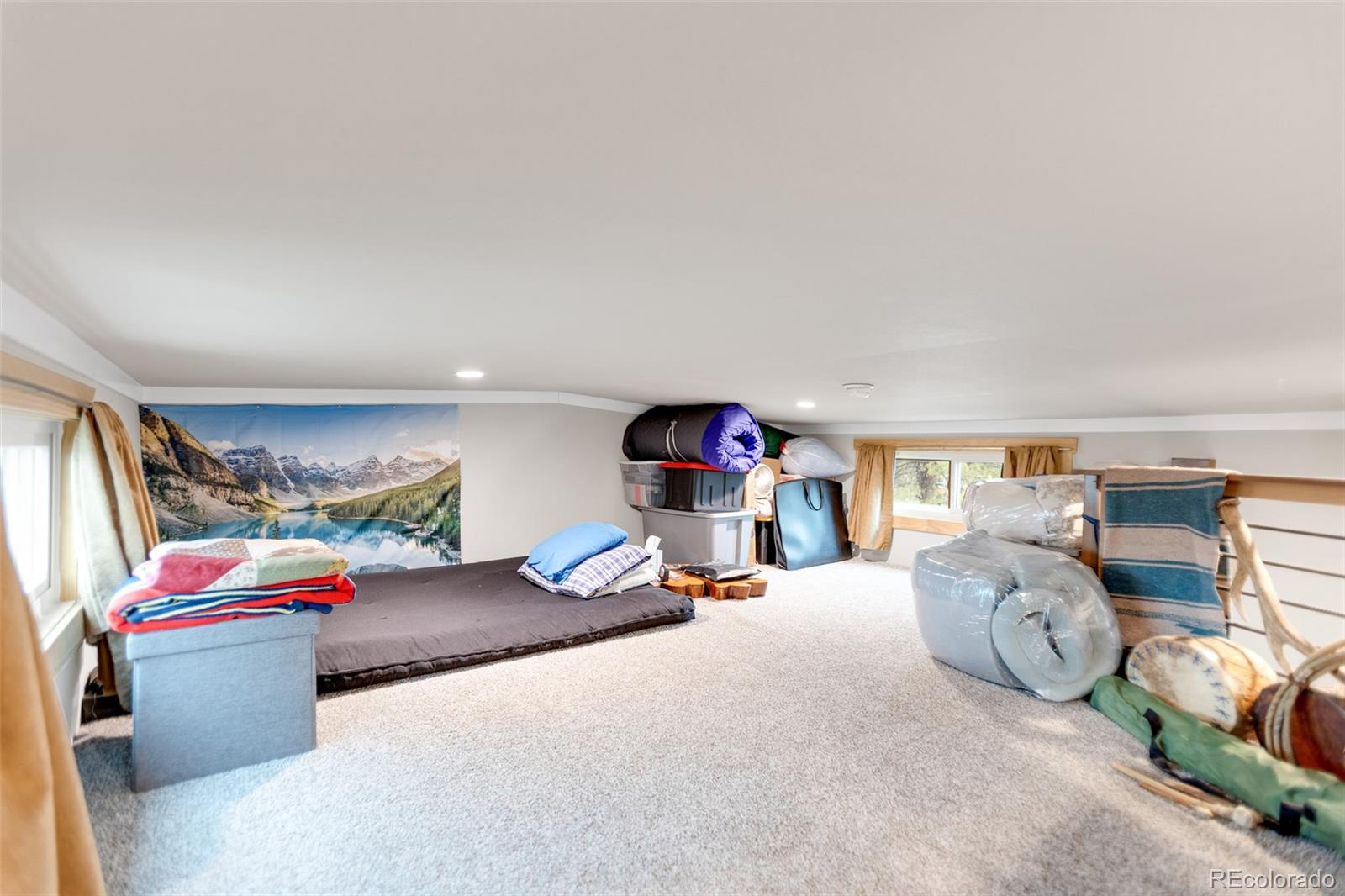 MLS Image #15 for 10795  county road 197a ,nathrop, Colorado