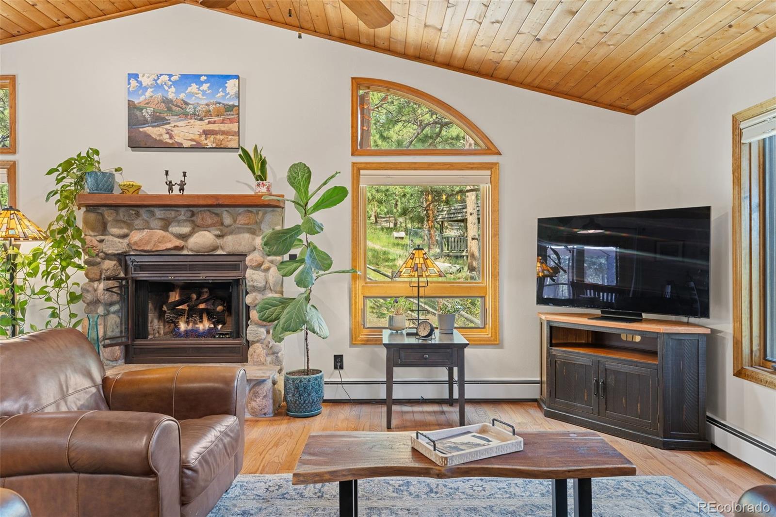 MLS Image #10 for 29866  woods drive,evergreen, Colorado
