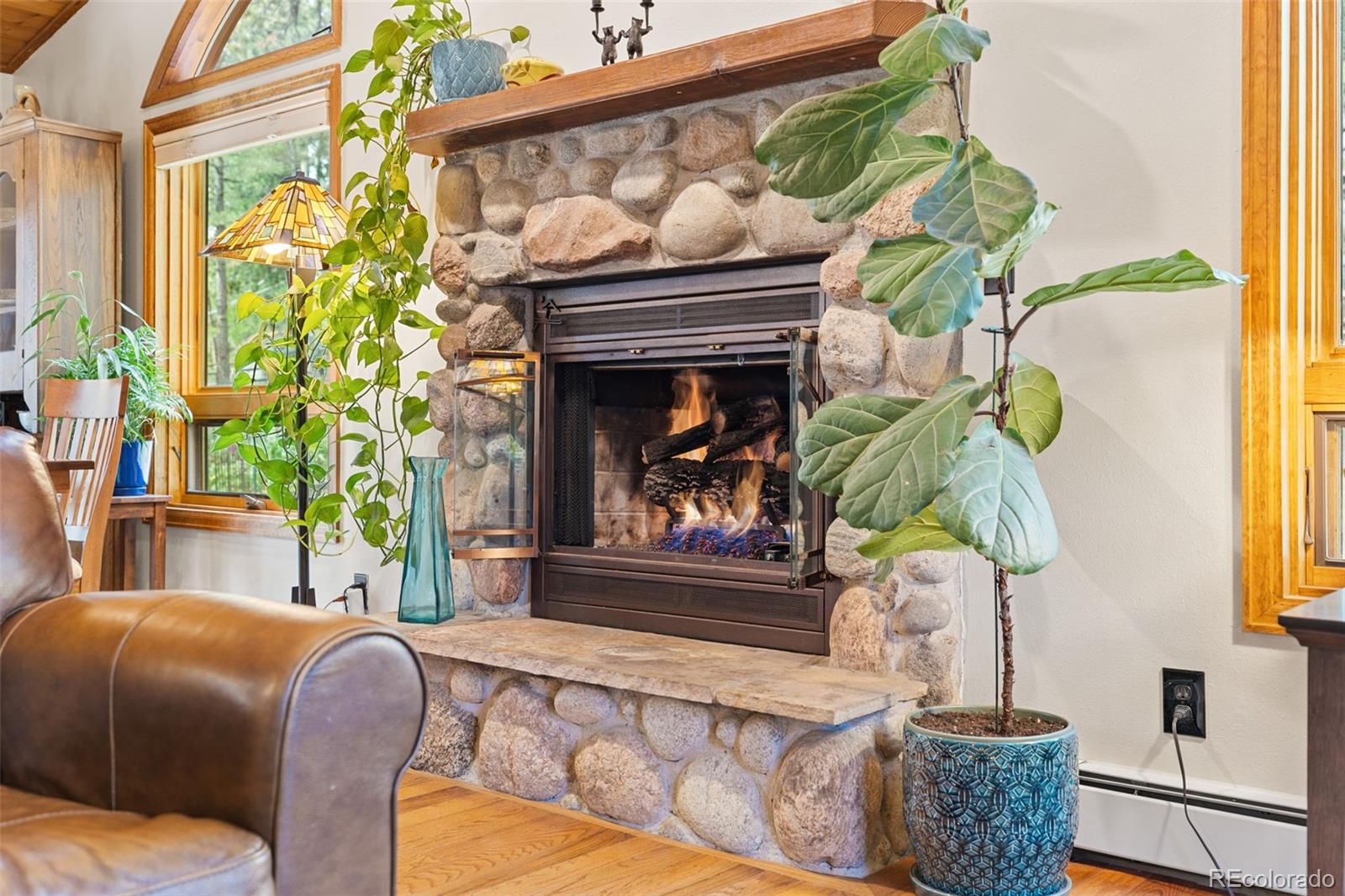 MLS Image #14 for 29866  woods drive,evergreen, Colorado