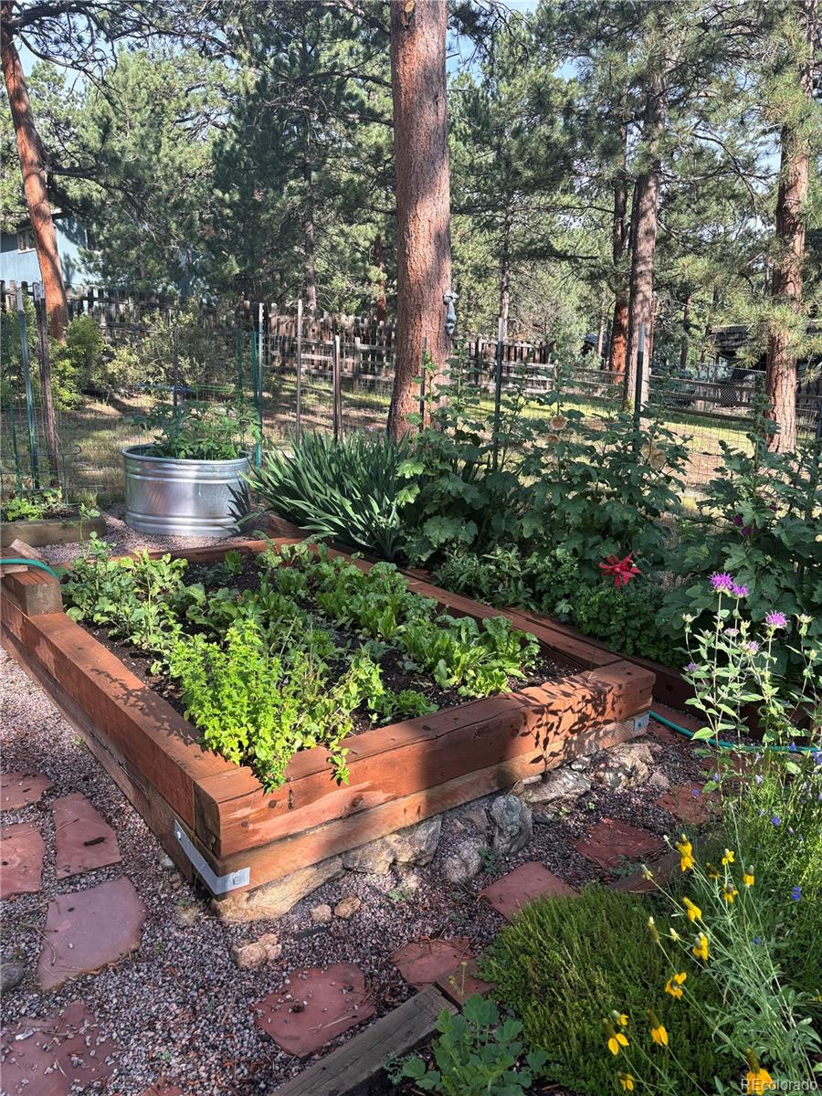 MLS Image #34 for 29866  woods drive,evergreen, Colorado