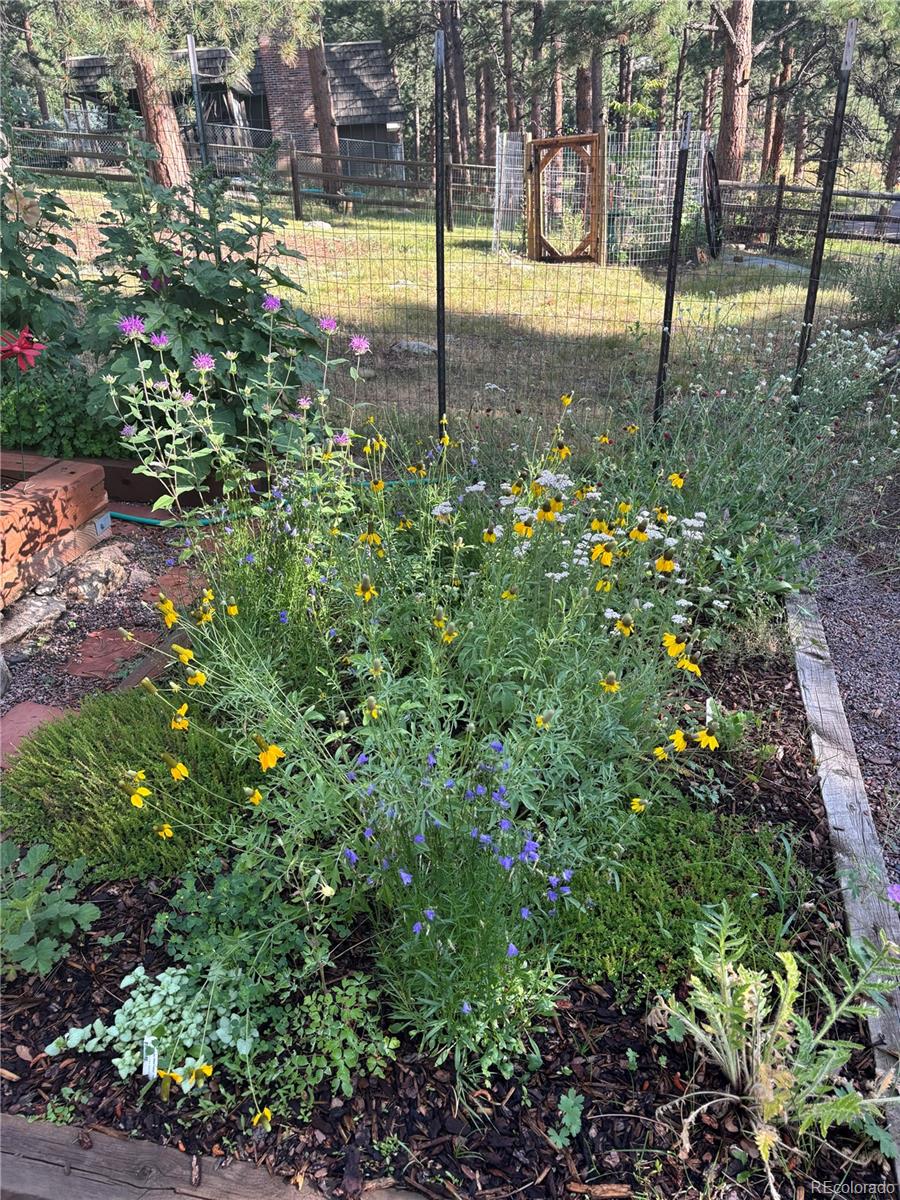 MLS Image #35 for 29866  woods drive,evergreen, Colorado