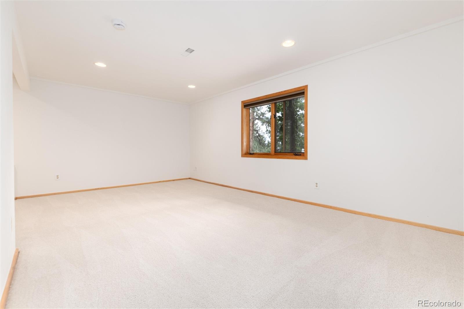 MLS Image #22 for 29661  rainbow hill road,evergreen, Colorado