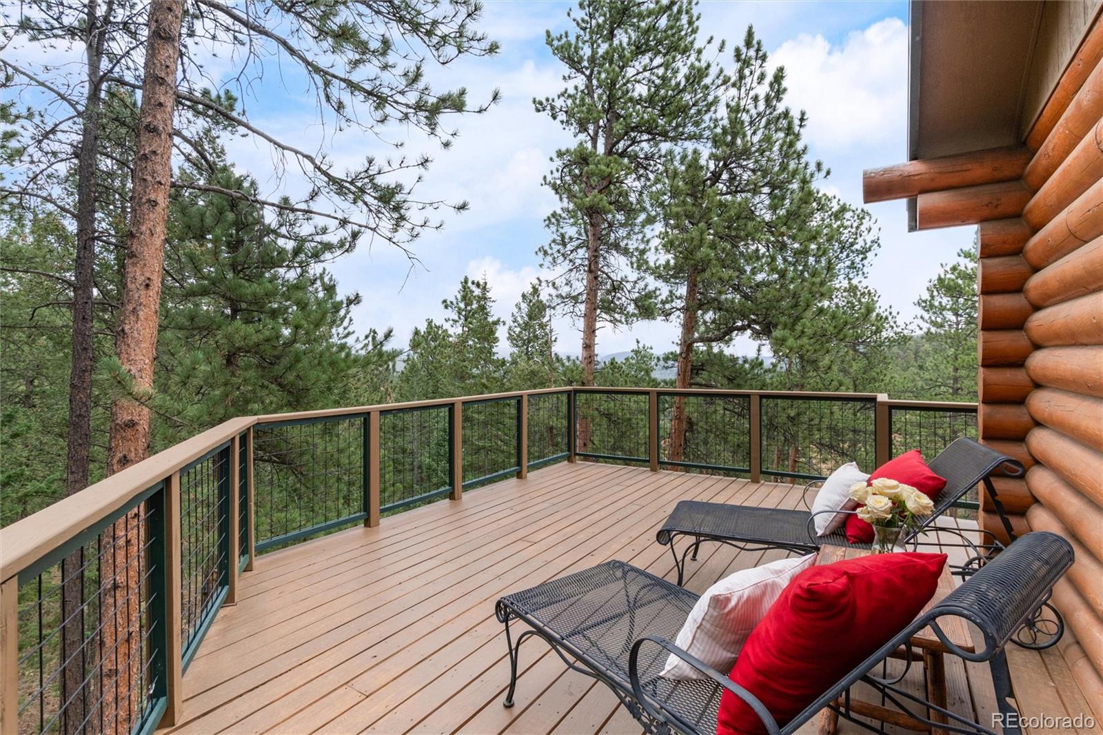 MLS Image #24 for 29661  rainbow hill road,evergreen, Colorado