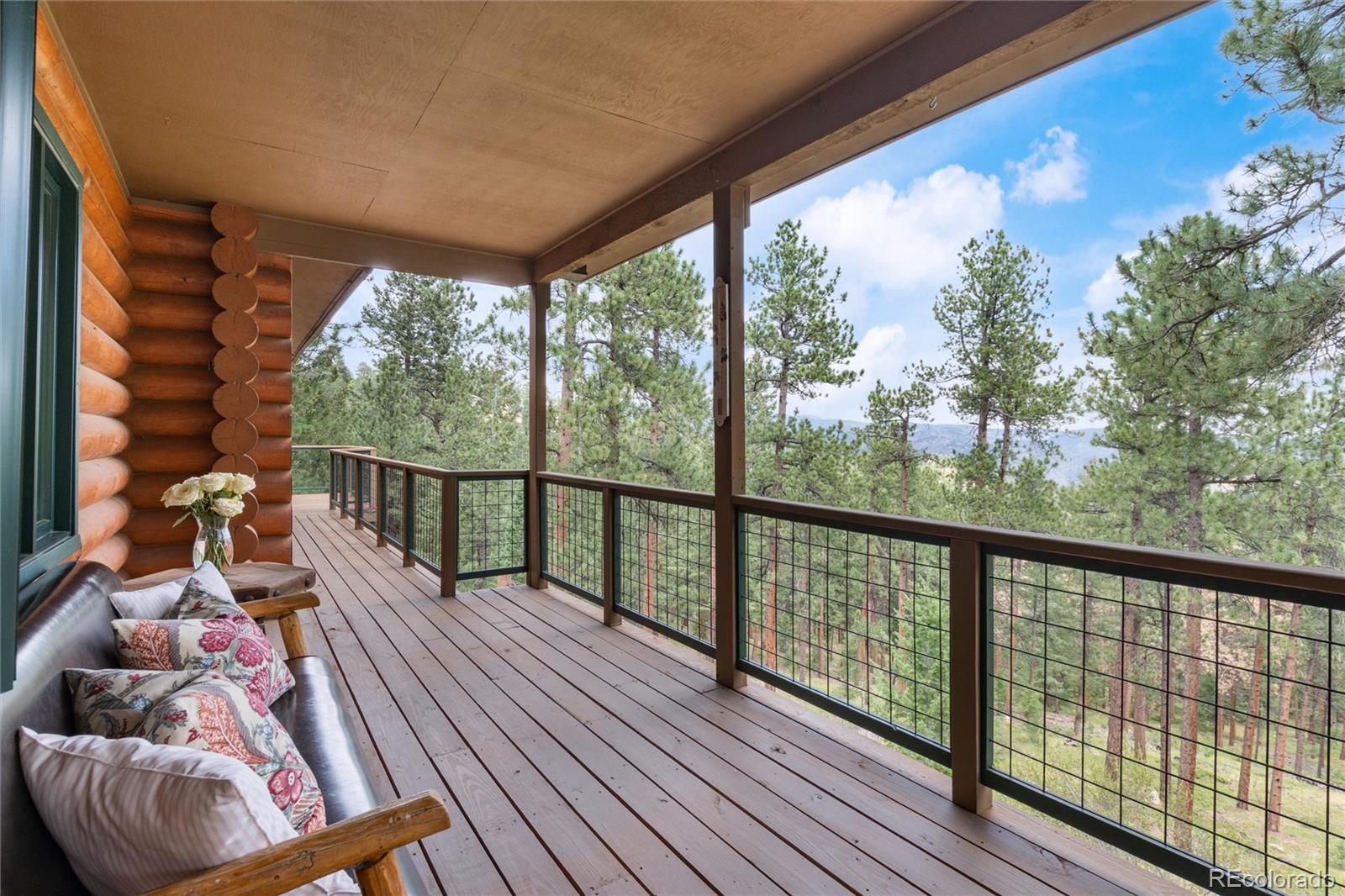 MLS Image #26 for 29661  rainbow hill road,evergreen, Colorado