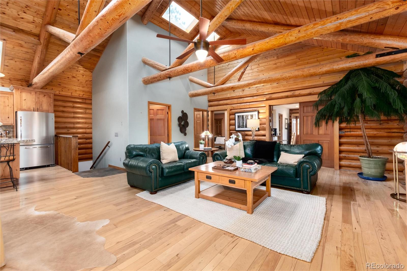 MLS Image #3 for 29661  rainbow hill road,evergreen, Colorado