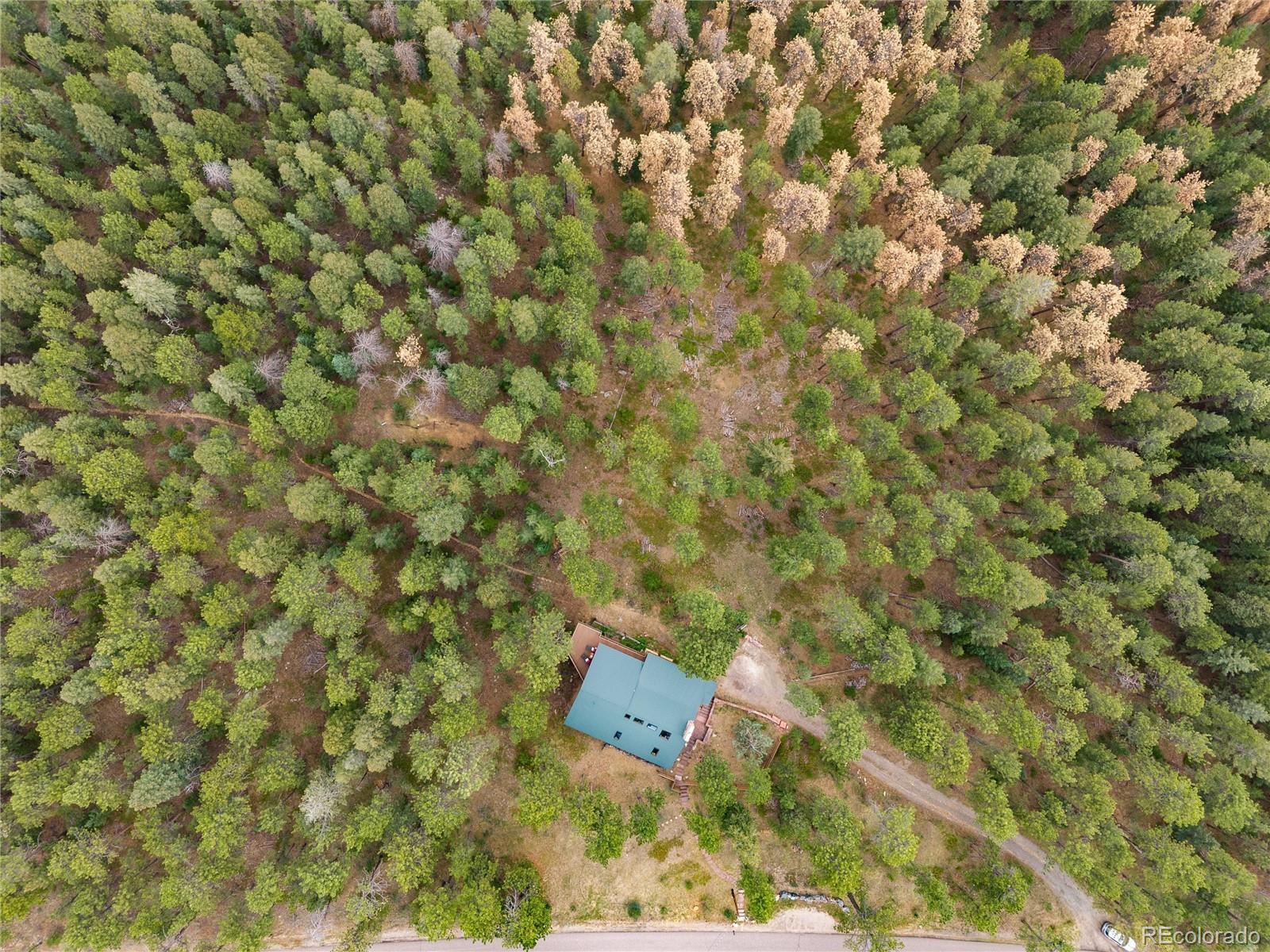 MLS Image #33 for 29661  rainbow hill road,evergreen, Colorado