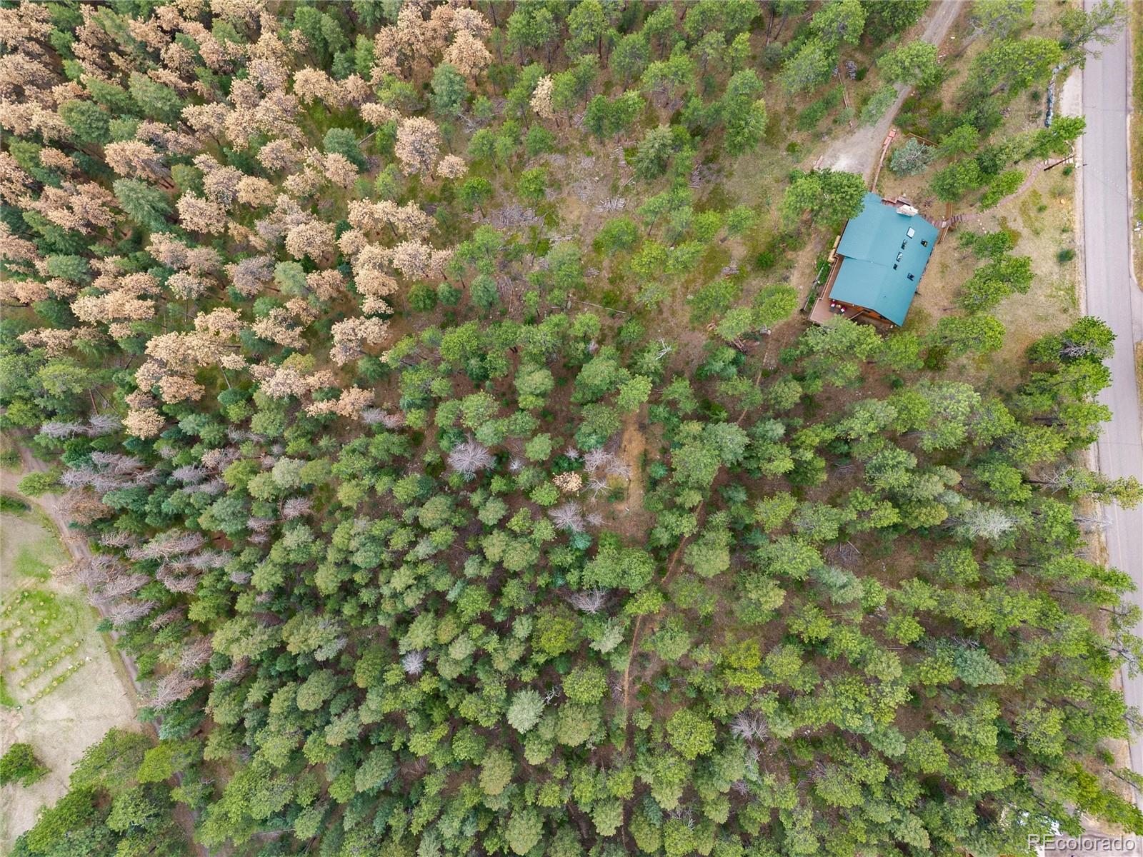 MLS Image #34 for 29661  rainbow hill road,evergreen, Colorado