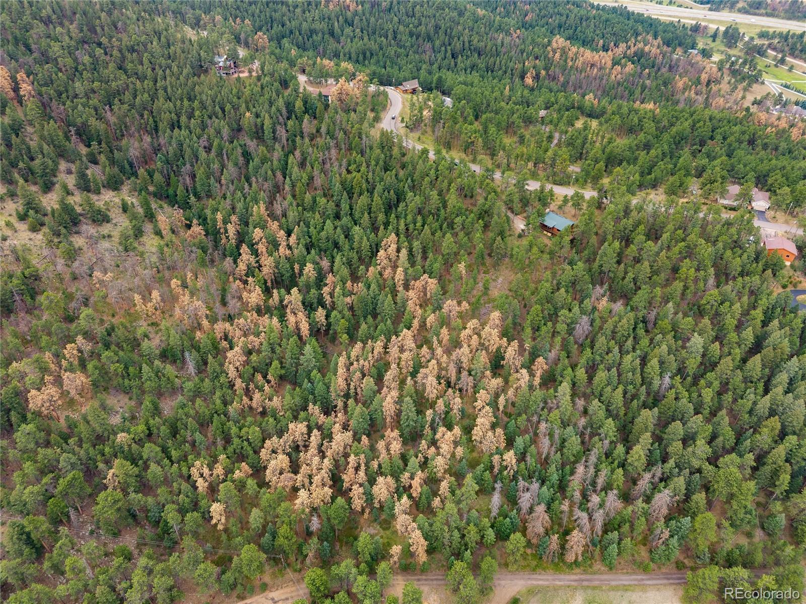 MLS Image #35 for 29661  rainbow hill road,evergreen, Colorado