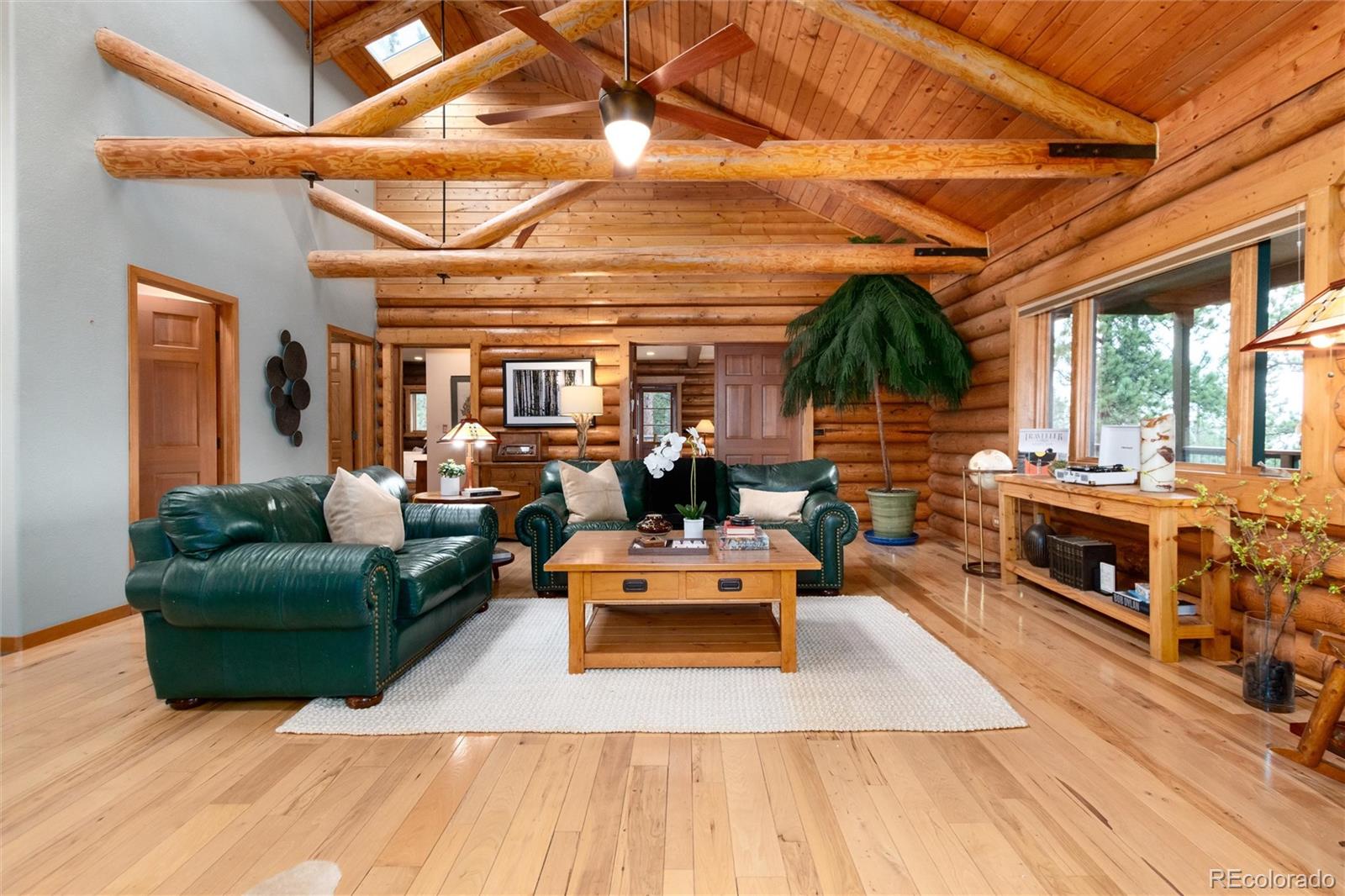 MLS Image #4 for 29661  rainbow hill road,evergreen, Colorado