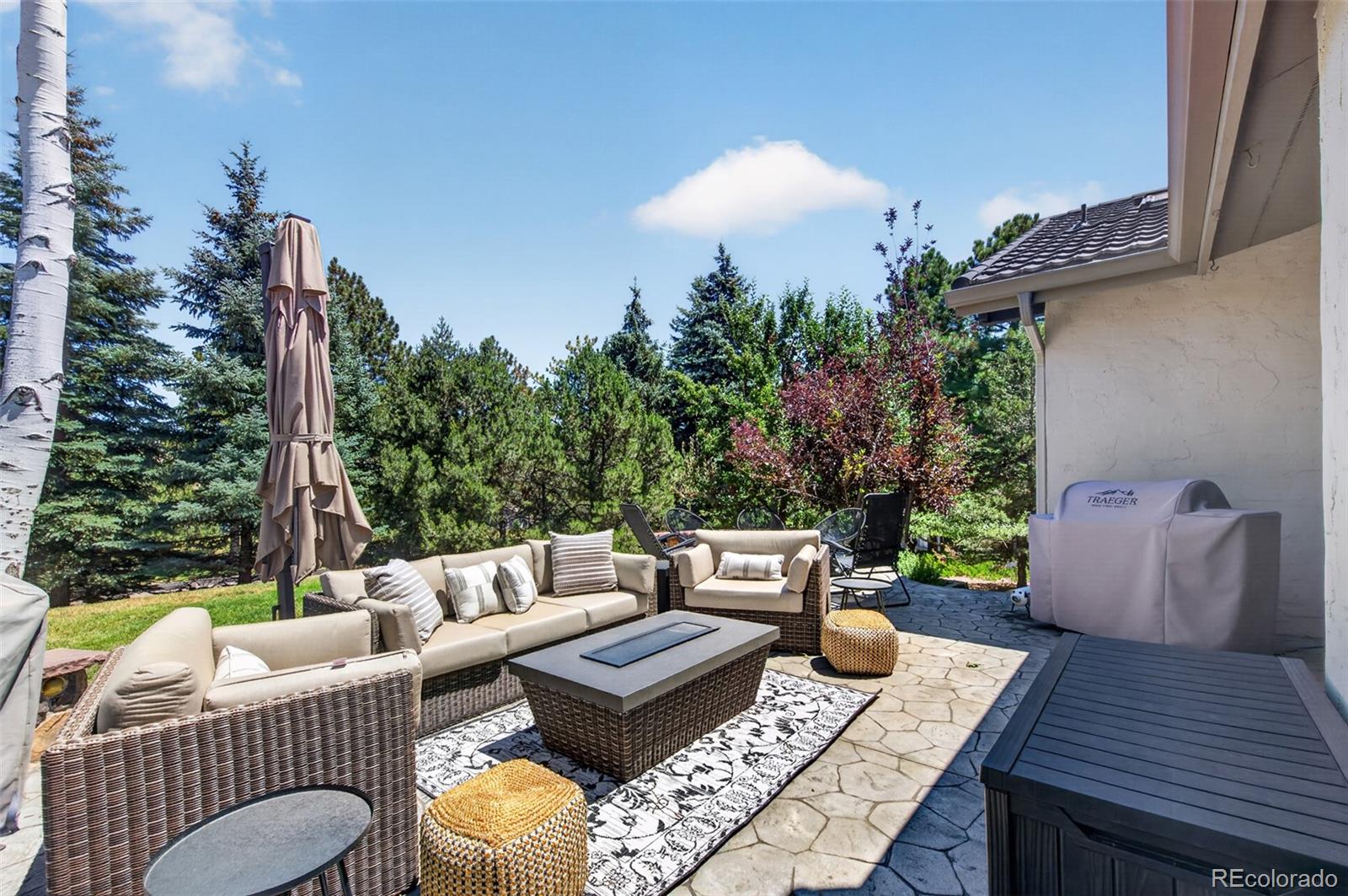 MLS Image #41 for 8  silver aspen ,littleton, Colorado