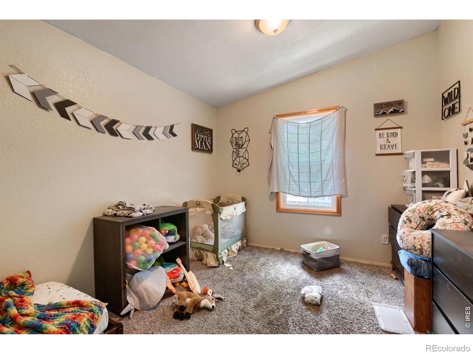 MLS Image #11 for 415 e woodward avenue,keenesburg, Colorado