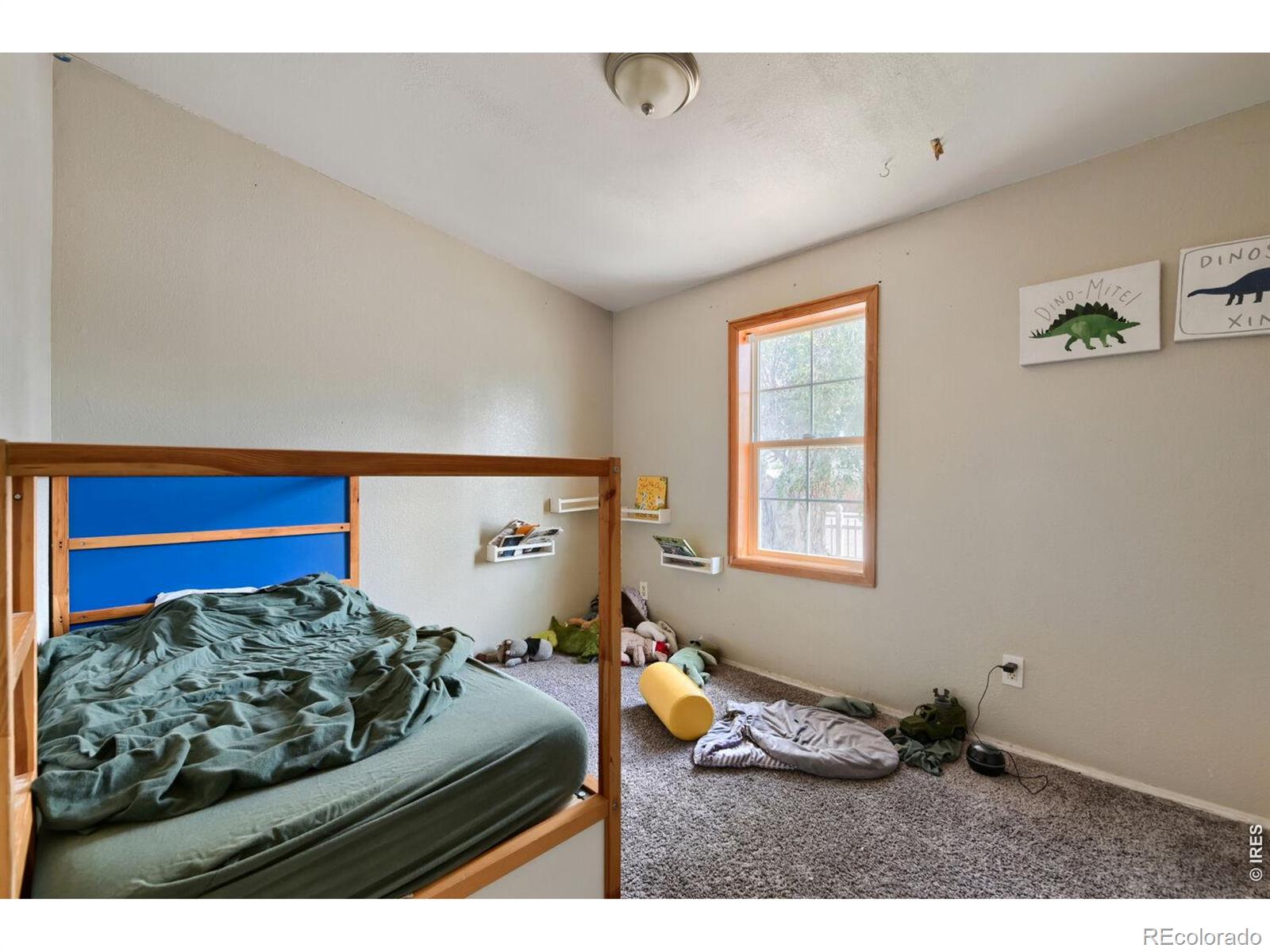 MLS Image #9 for 415 e woodward avenue,keenesburg, Colorado