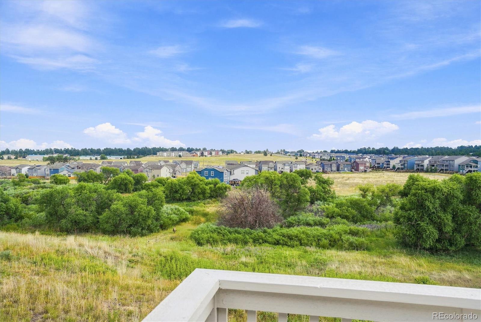 MLS Image #38 for 628  yankee boy loop,elizabeth, Colorado