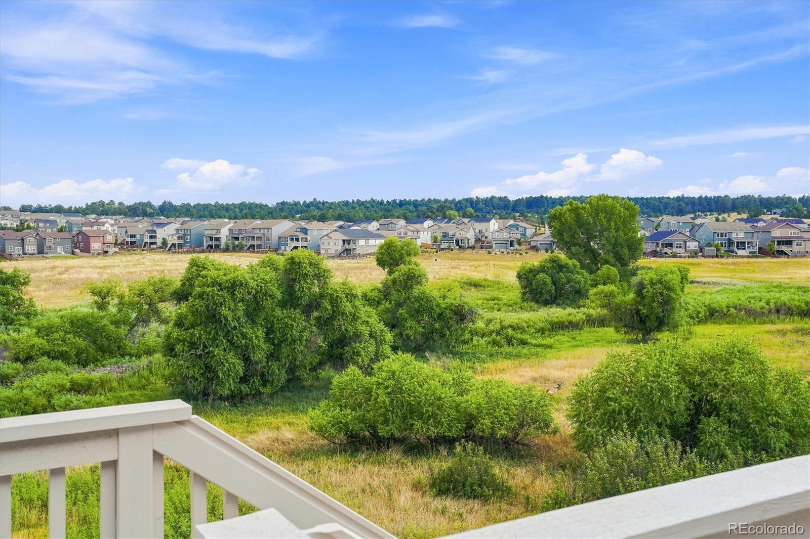 MLS Image #4 for 628  yankee boy loop,elizabeth, Colorado