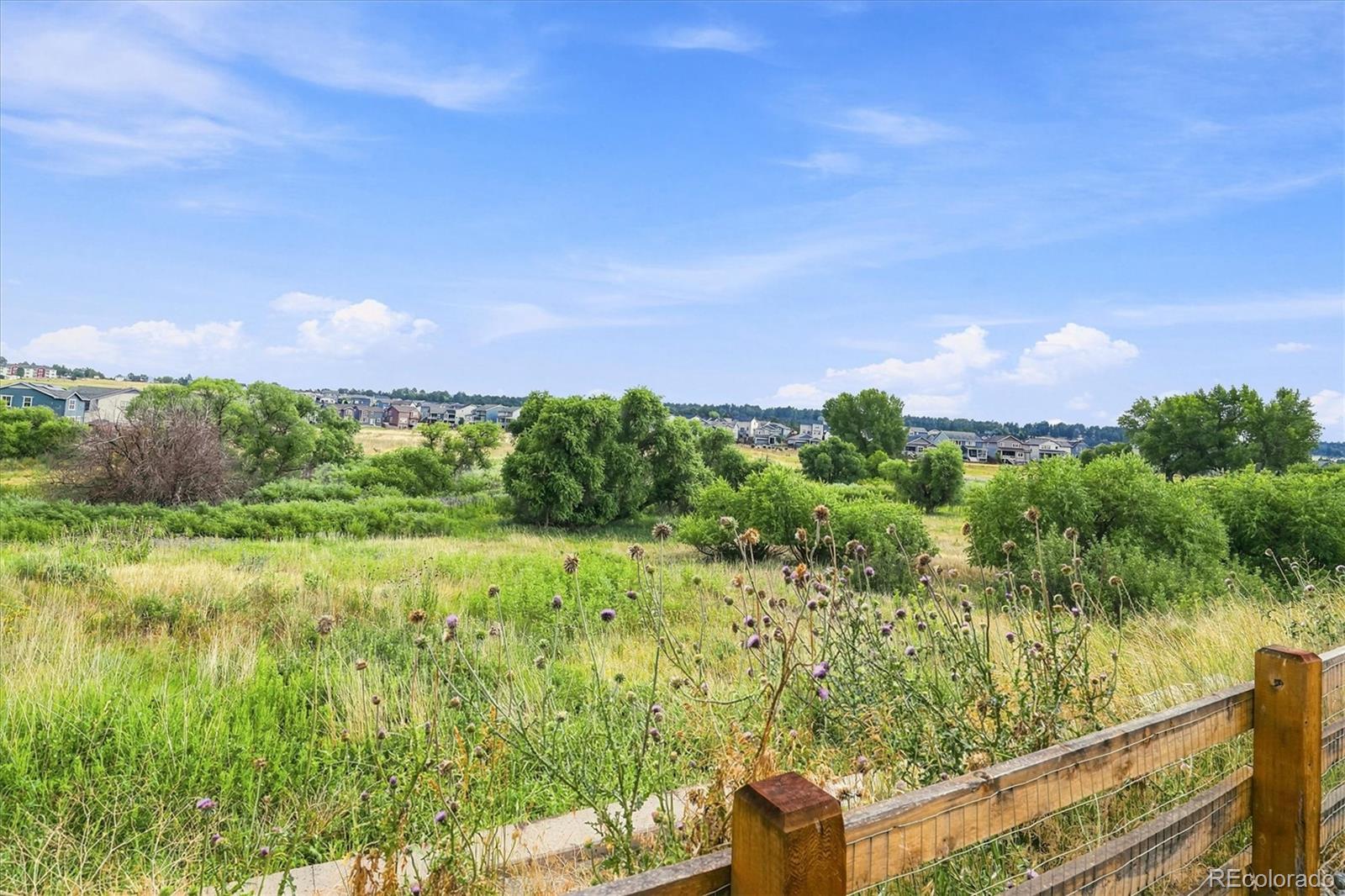 MLS Image #46 for 628  yankee boy loop,elizabeth, Colorado