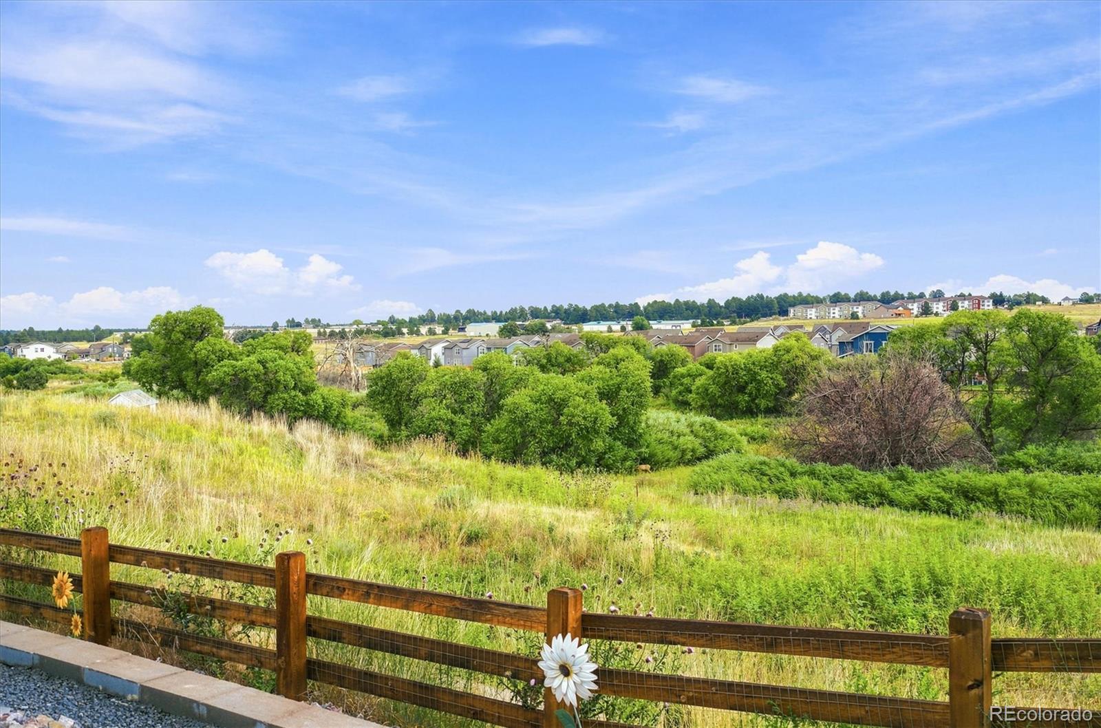MLS Image #47 for 628  yankee boy loop,elizabeth, Colorado