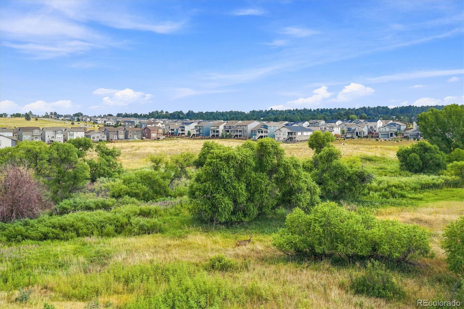 MLS Image #48 for 628  yankee boy loop,elizabeth, Colorado