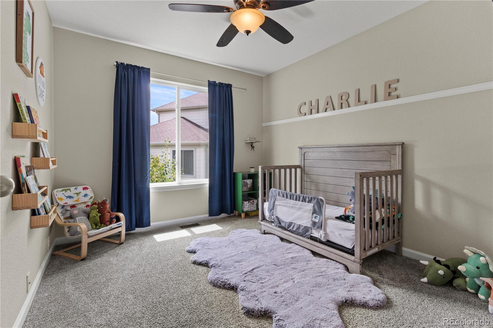 MLS Image #20 for 23585 e maple hills avenue,parker, Colorado