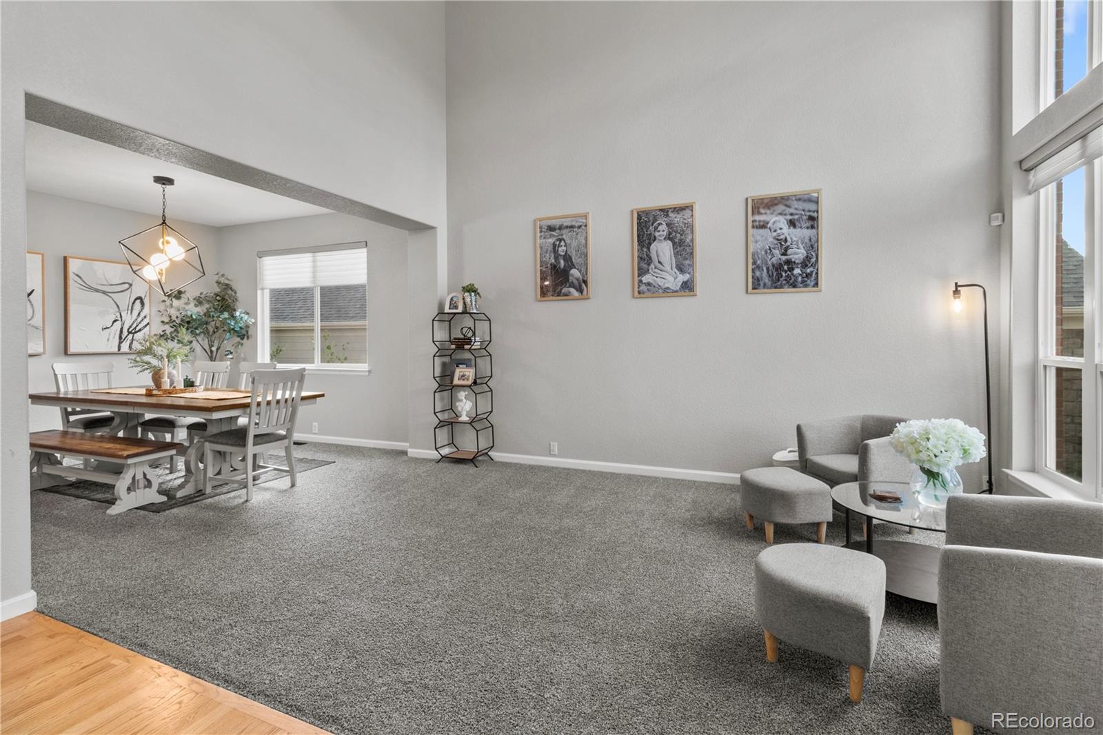MLS Image #3 for 23585 e maple hills avenue,parker, Colorado