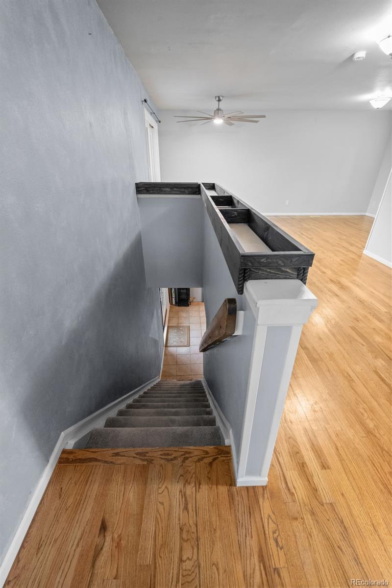MLS Image #18 for 33678  jenifer road,pine, Colorado