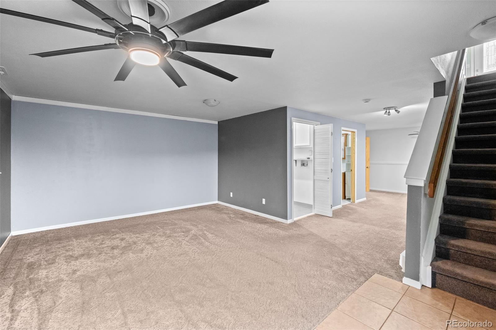 MLS Image #19 for 33678  jenifer road,pine, Colorado