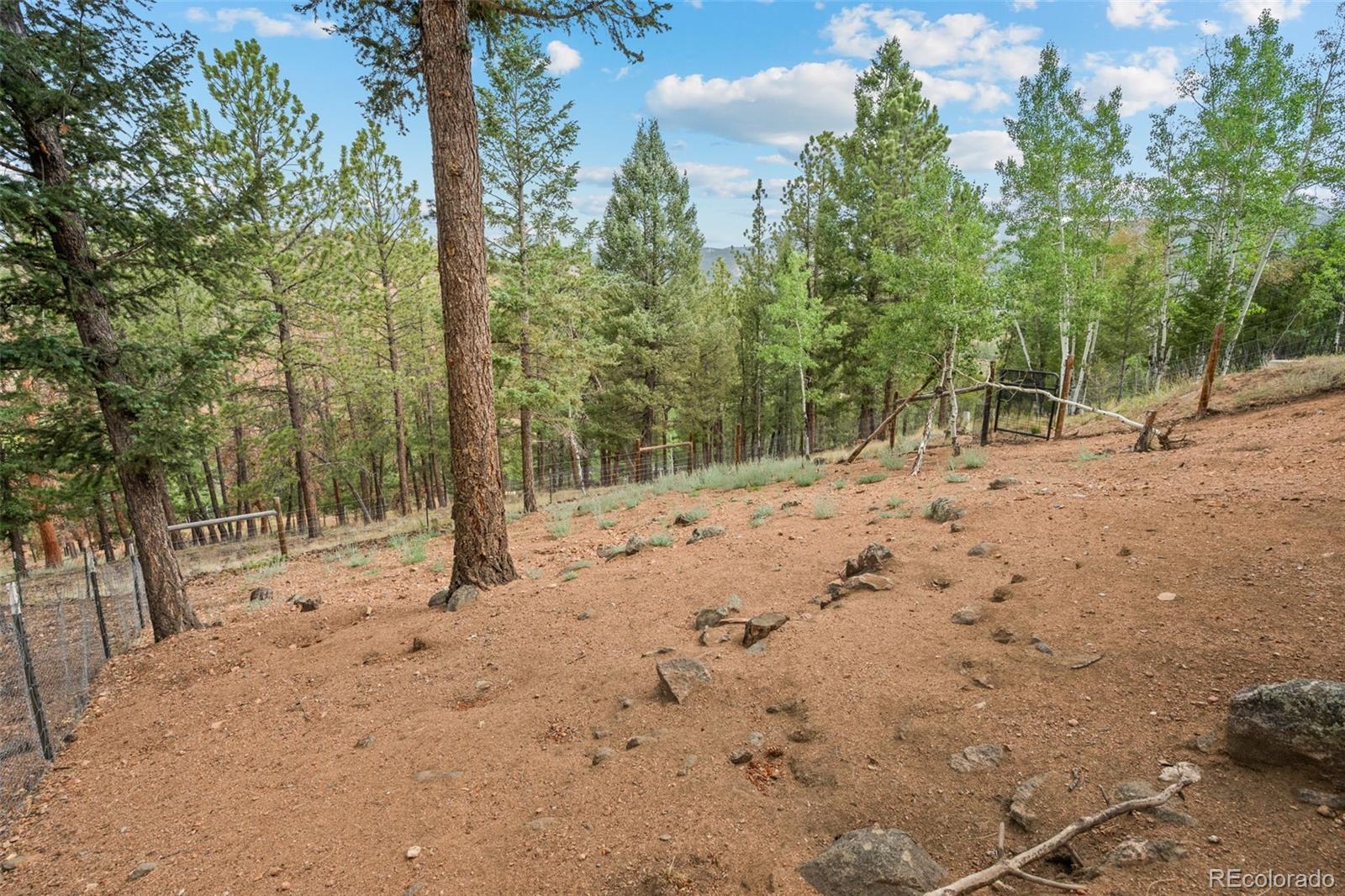 MLS Image #40 for 33678  jenifer road,pine, Colorado