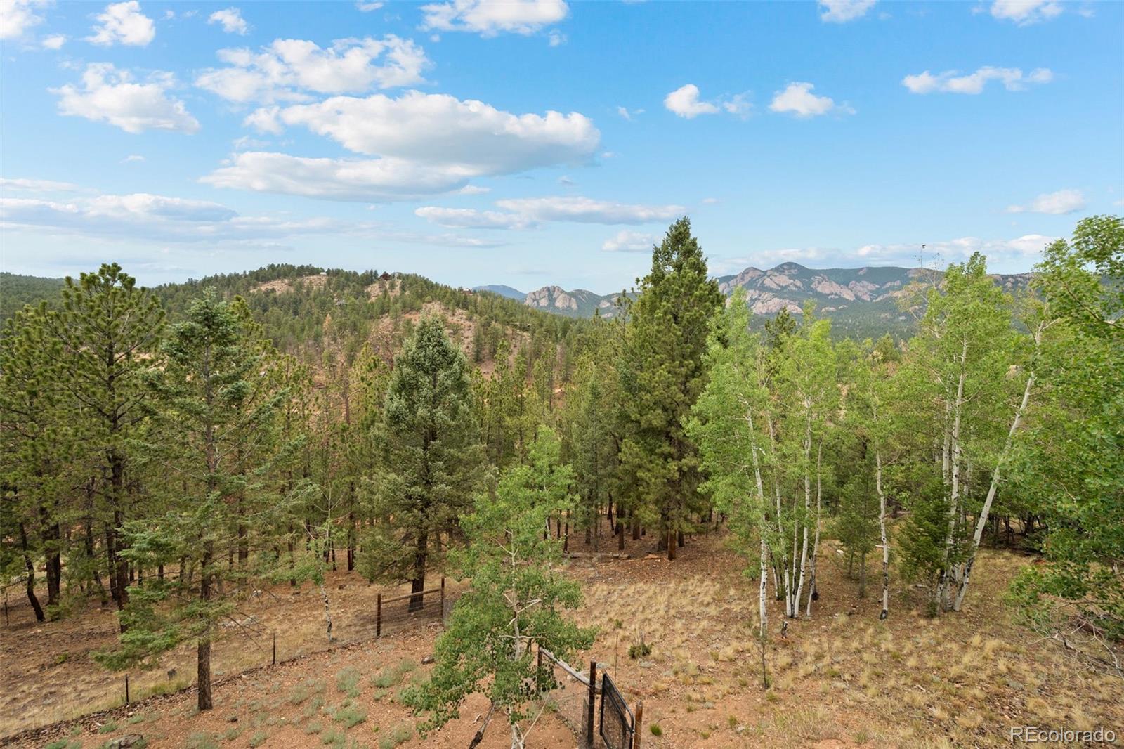 MLS Image #41 for 33678  jenifer road,pine, Colorado