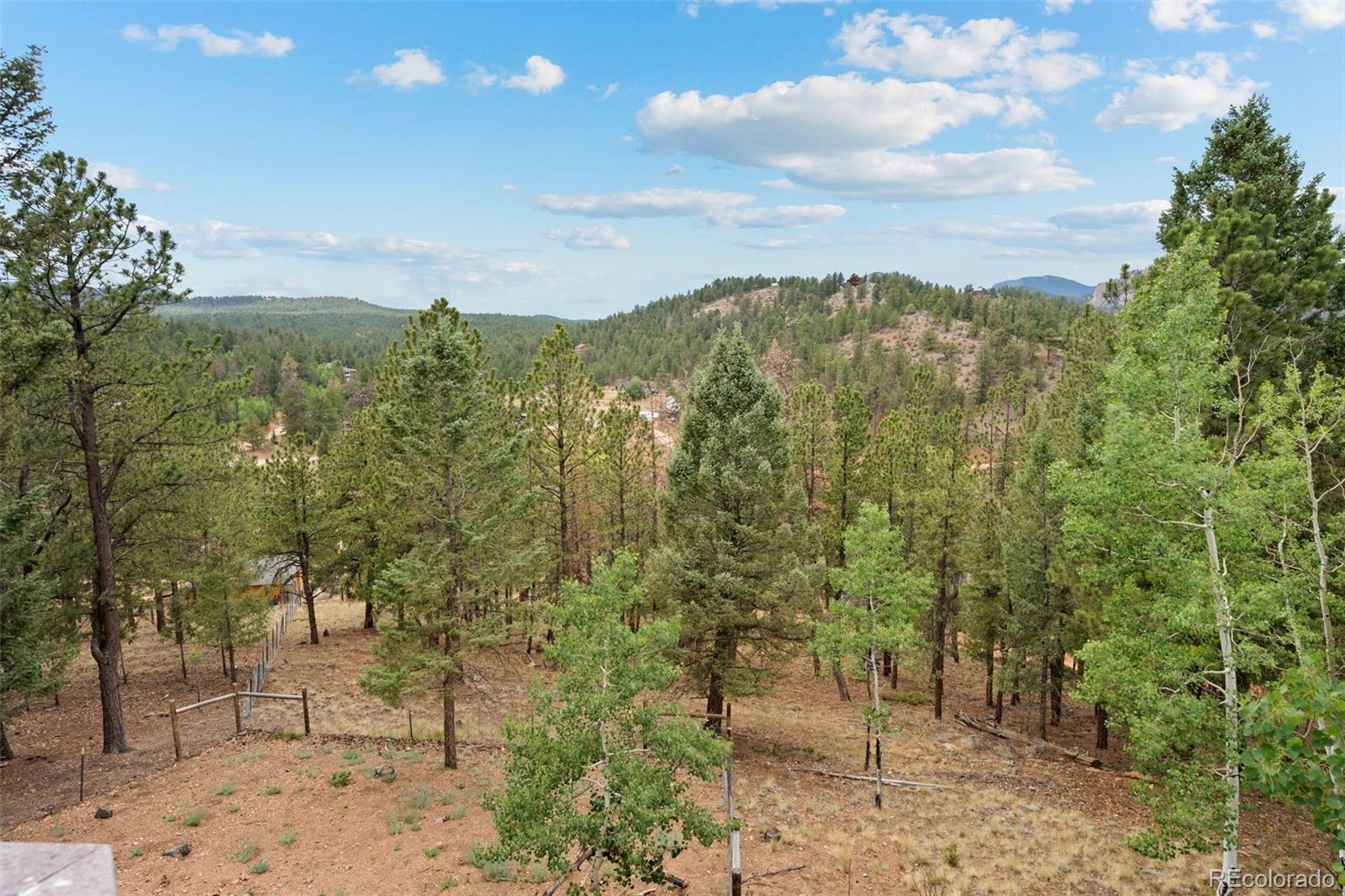 MLS Image #42 for 33678  jenifer road,pine, Colorado