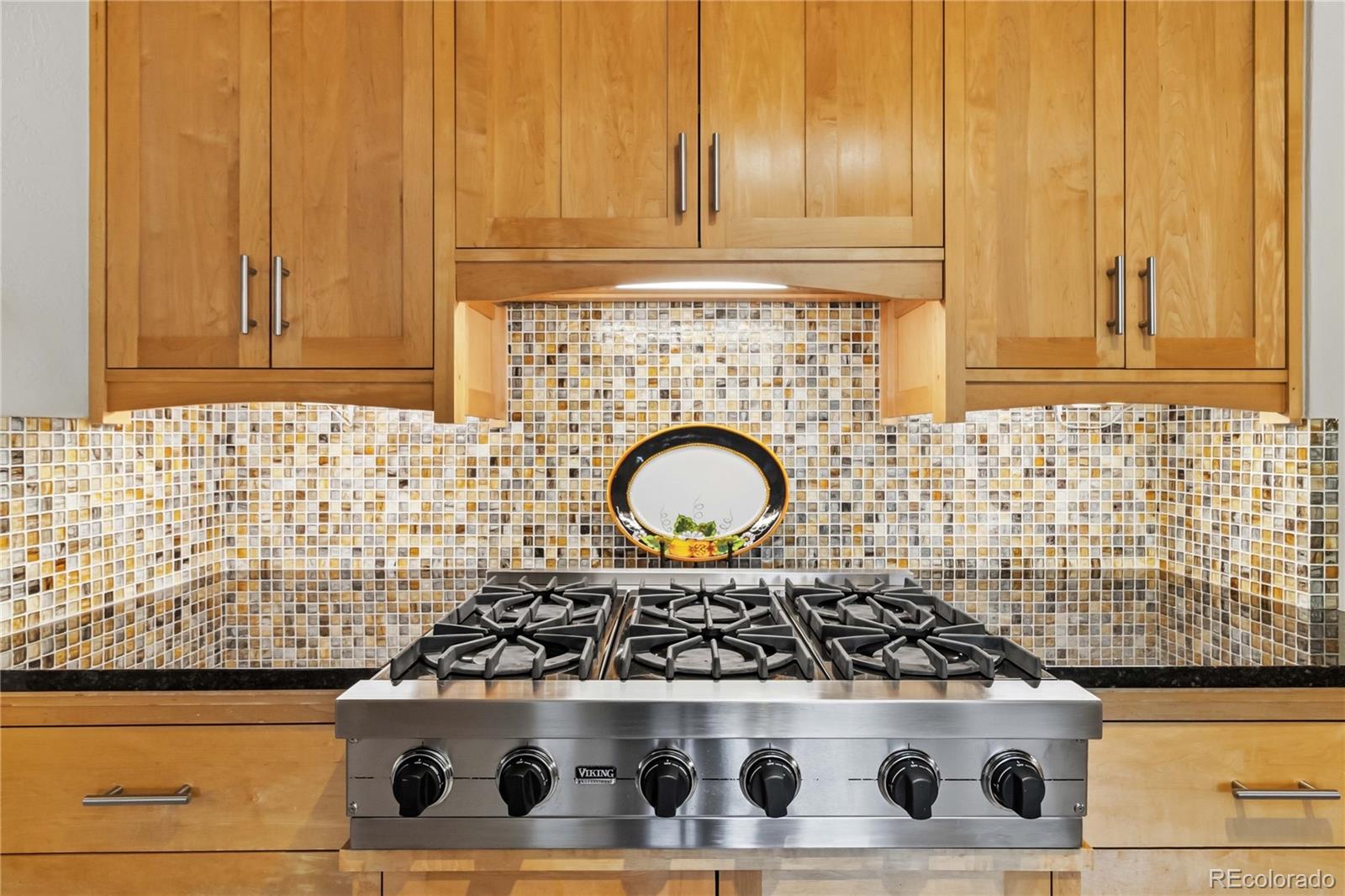 MLS Image #12 for 2838 s clarkson circle,englewood, Colorado
