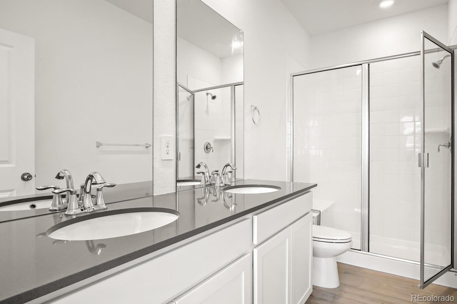 MLS Image #7 for 402 n bersshine court,watkins, Colorado