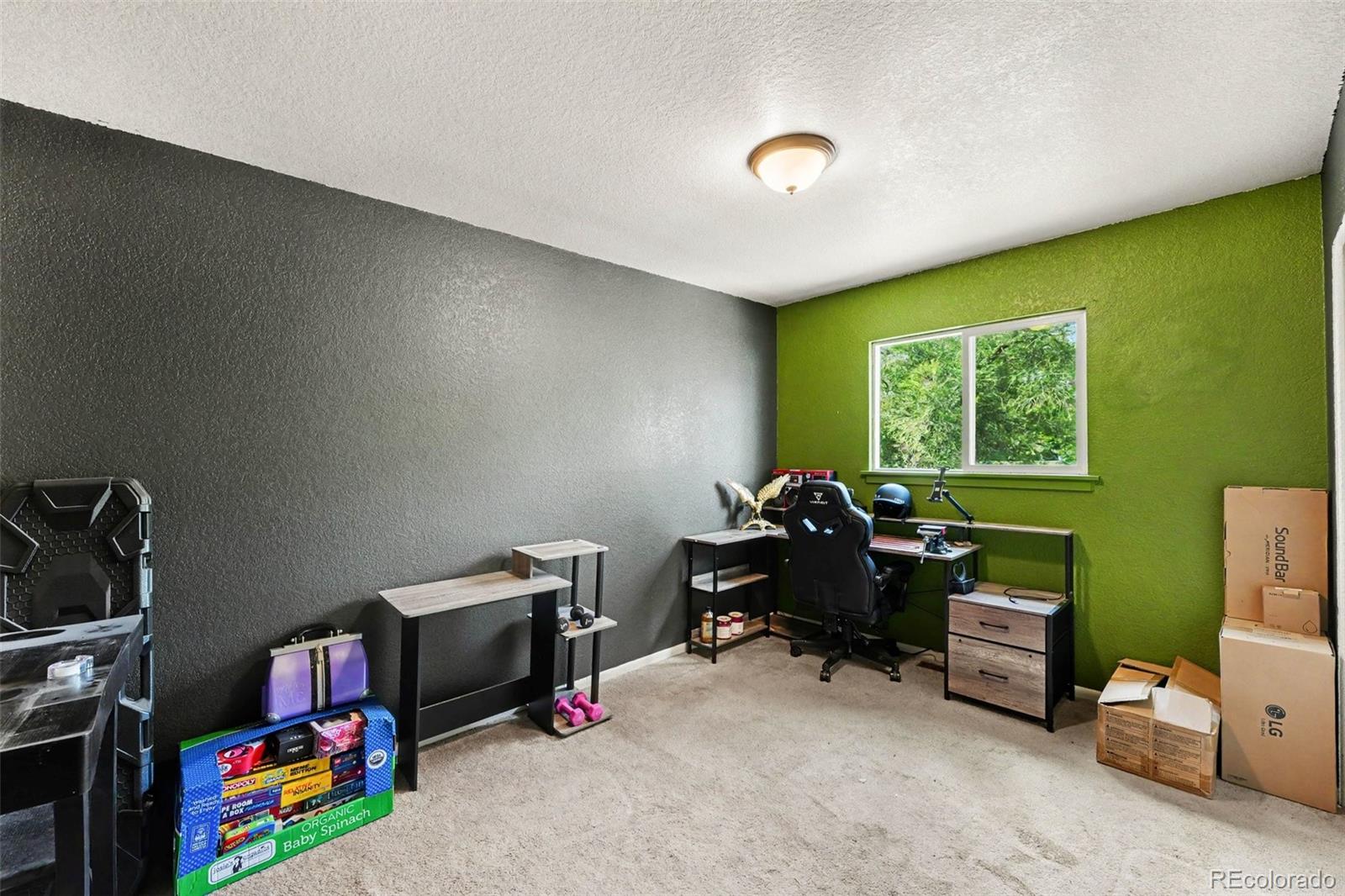 MLS Image #11 for 1727 e 83rd avenue,denver, Colorado