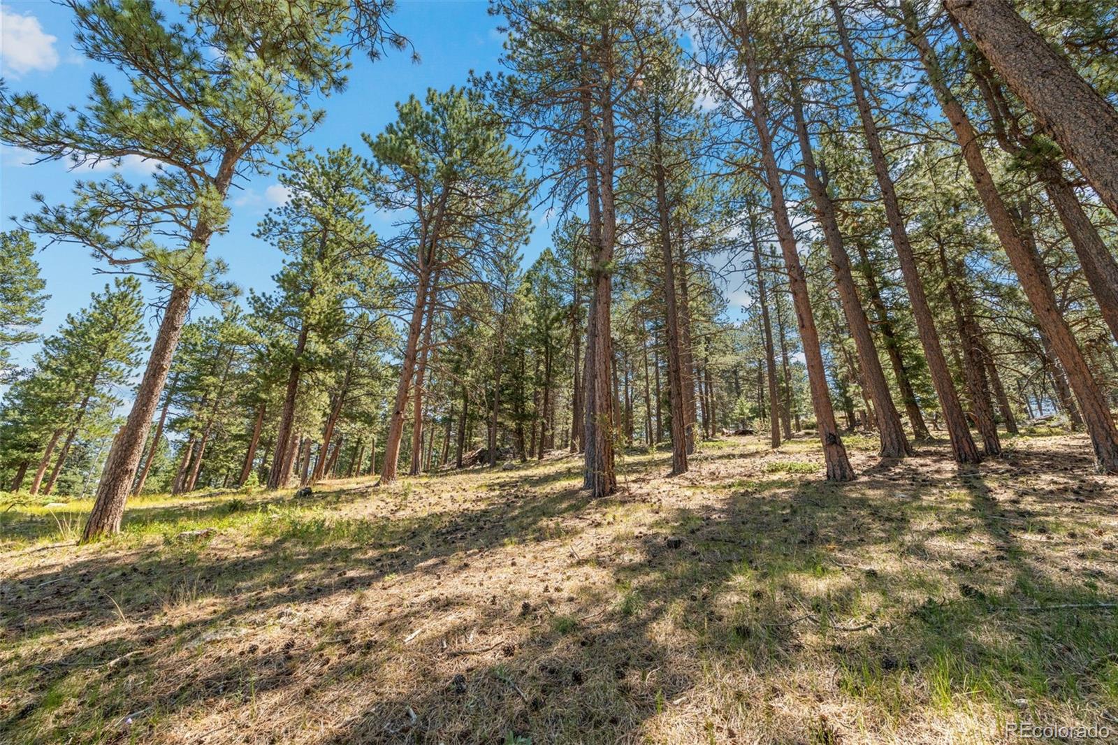 MLS Image #39 for 7390  monica lane,evergreen, Colorado