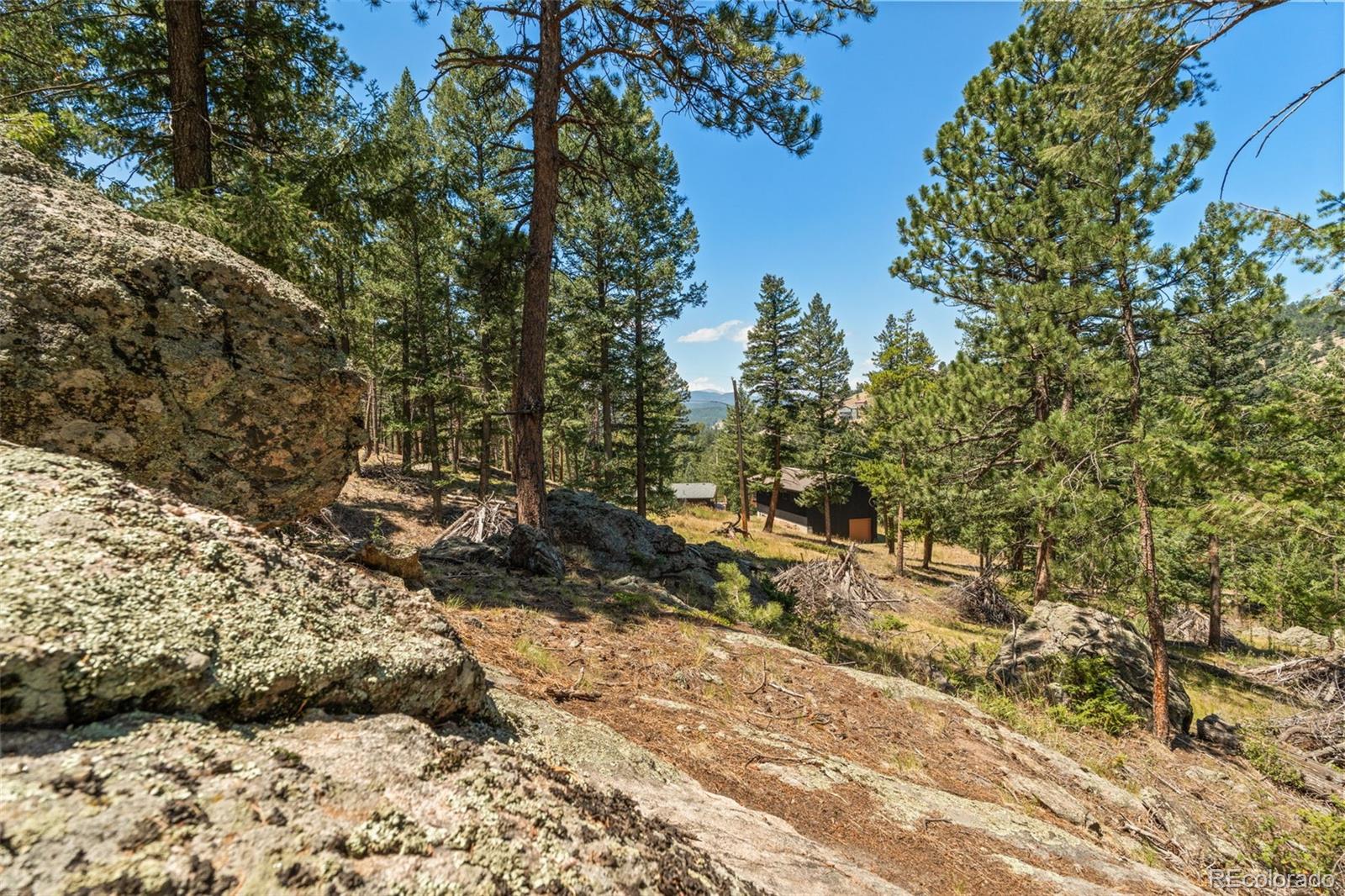 MLS Image #40 for 7390  monica lane,evergreen, Colorado