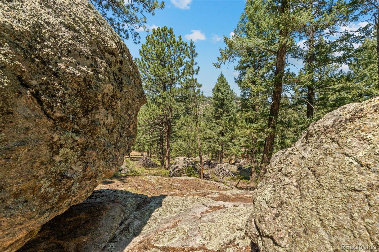 MLS Image #41 for 7390  monica lane,evergreen, Colorado