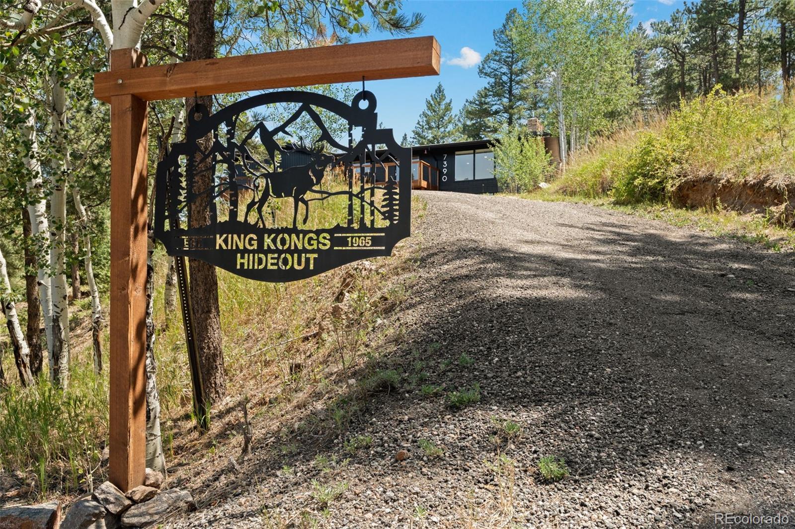MLS Image #45 for 7390  monica lane,evergreen, Colorado