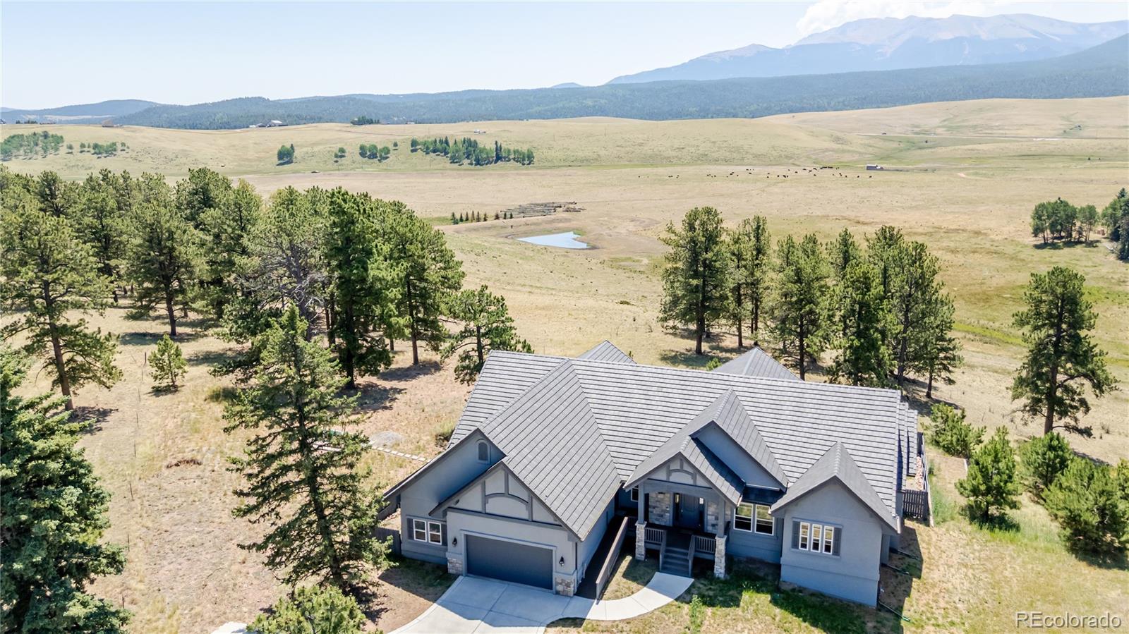 MLS Image #1 for 407  silvermoon heights,divide, Colorado