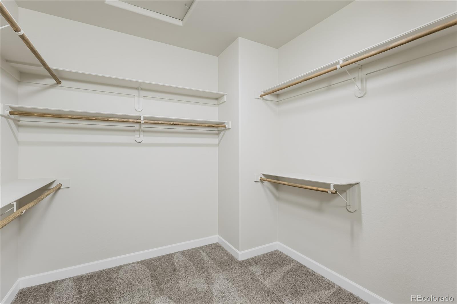 MLS Image #20 for 407  silvermoon heights,divide, Colorado